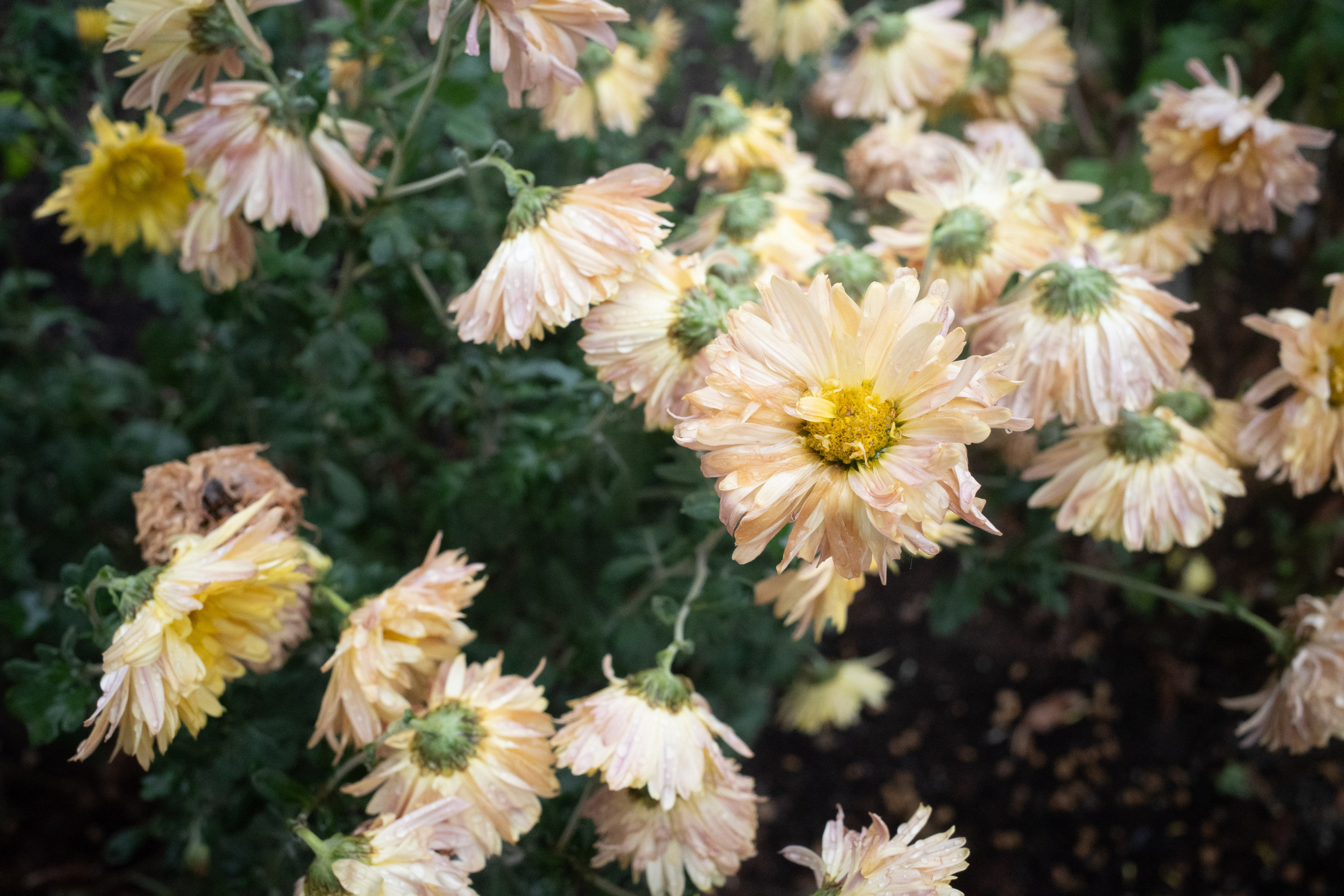 г.Кирово-Чепецк, 16.10.2024