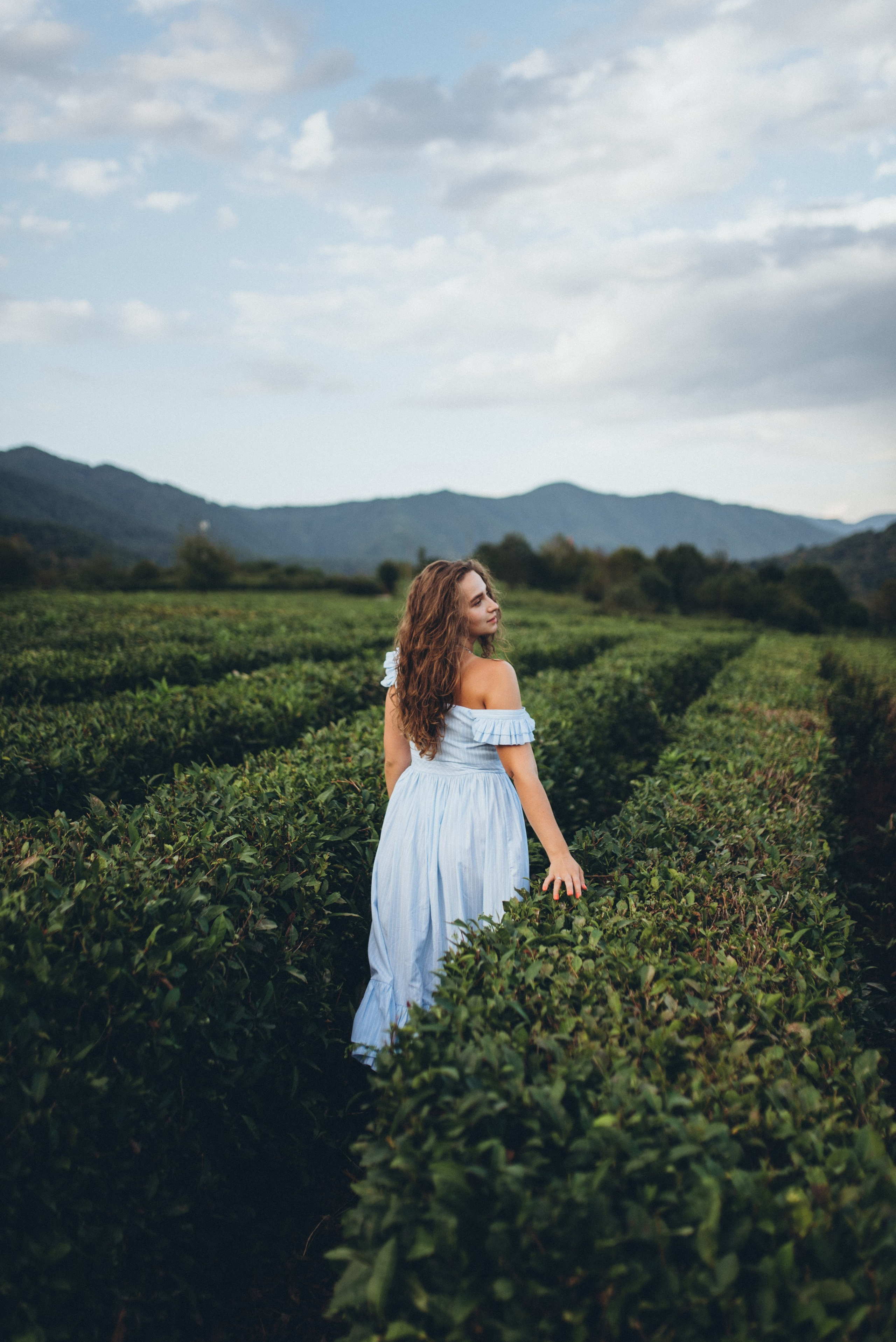 Фотосъемки в горах на чайных плантациях Сочи. Фотограф в Сочи — Маргарита Поганова