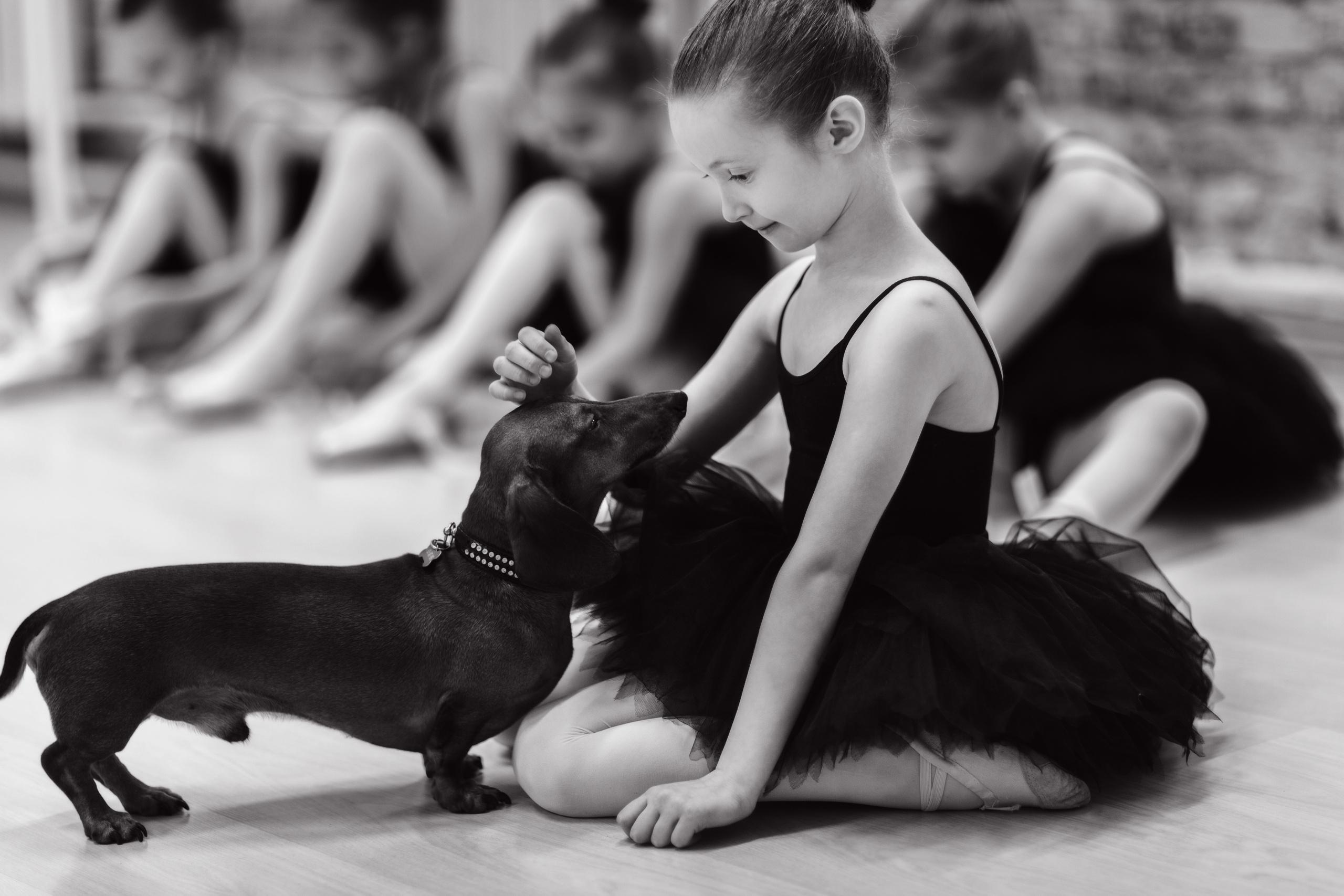 История про балет в фотографиях. Фотограф Денис Гавриленков в Москве