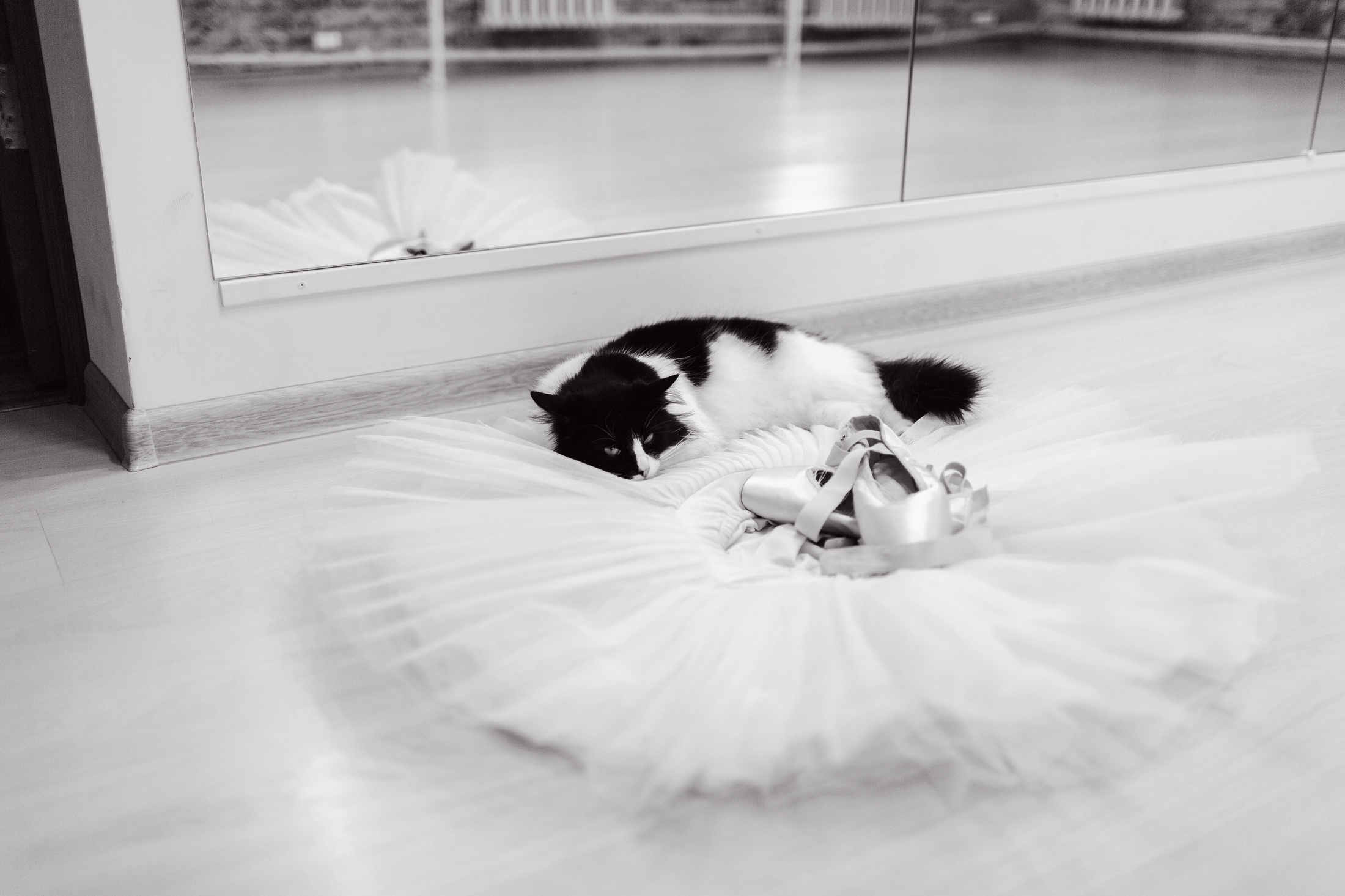 История про балет в фотографиях. Фотограф Денис Гавриленков в Москве