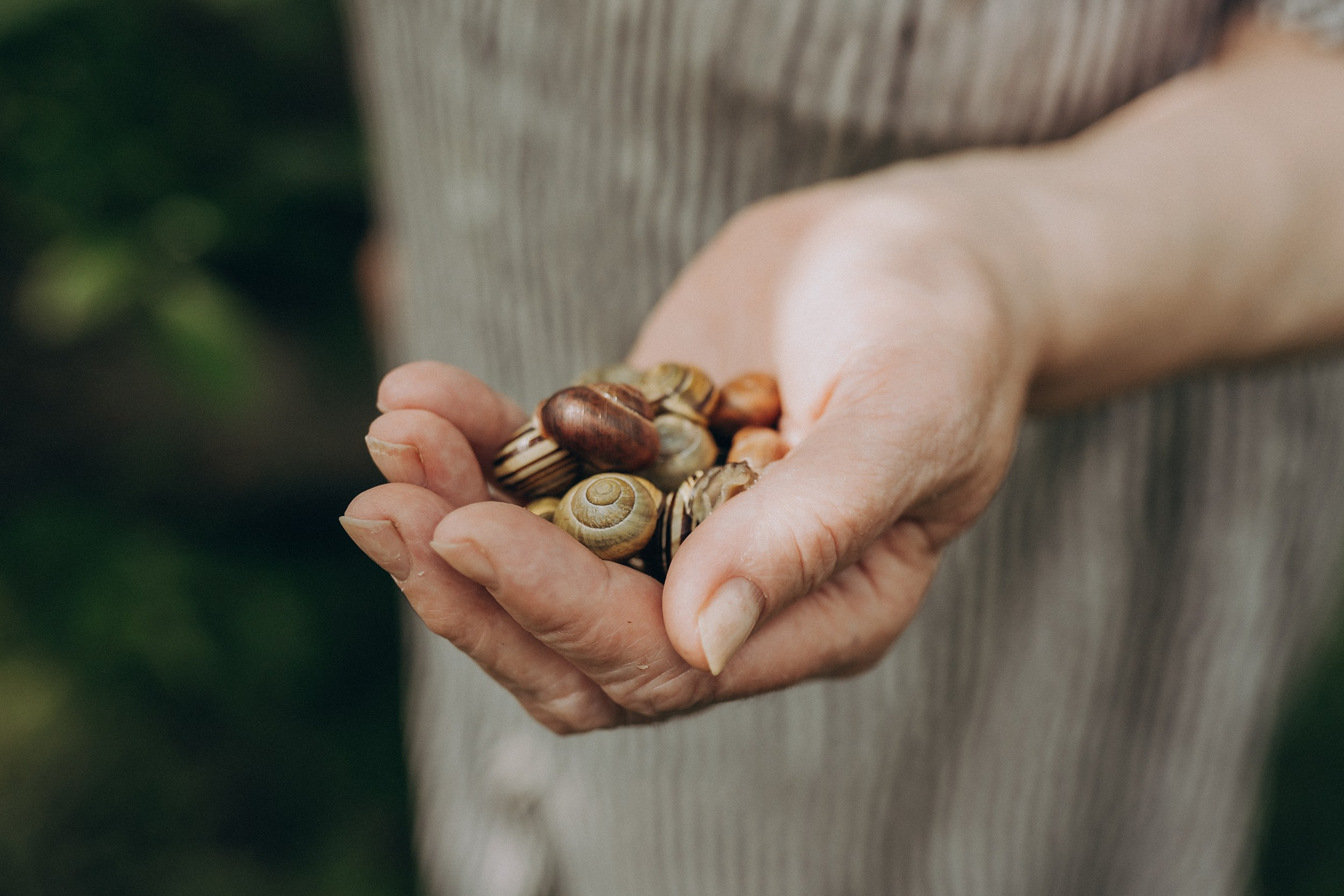 Поколения. Детский и семейный фотограф — Калининград — Юля Насифуллина