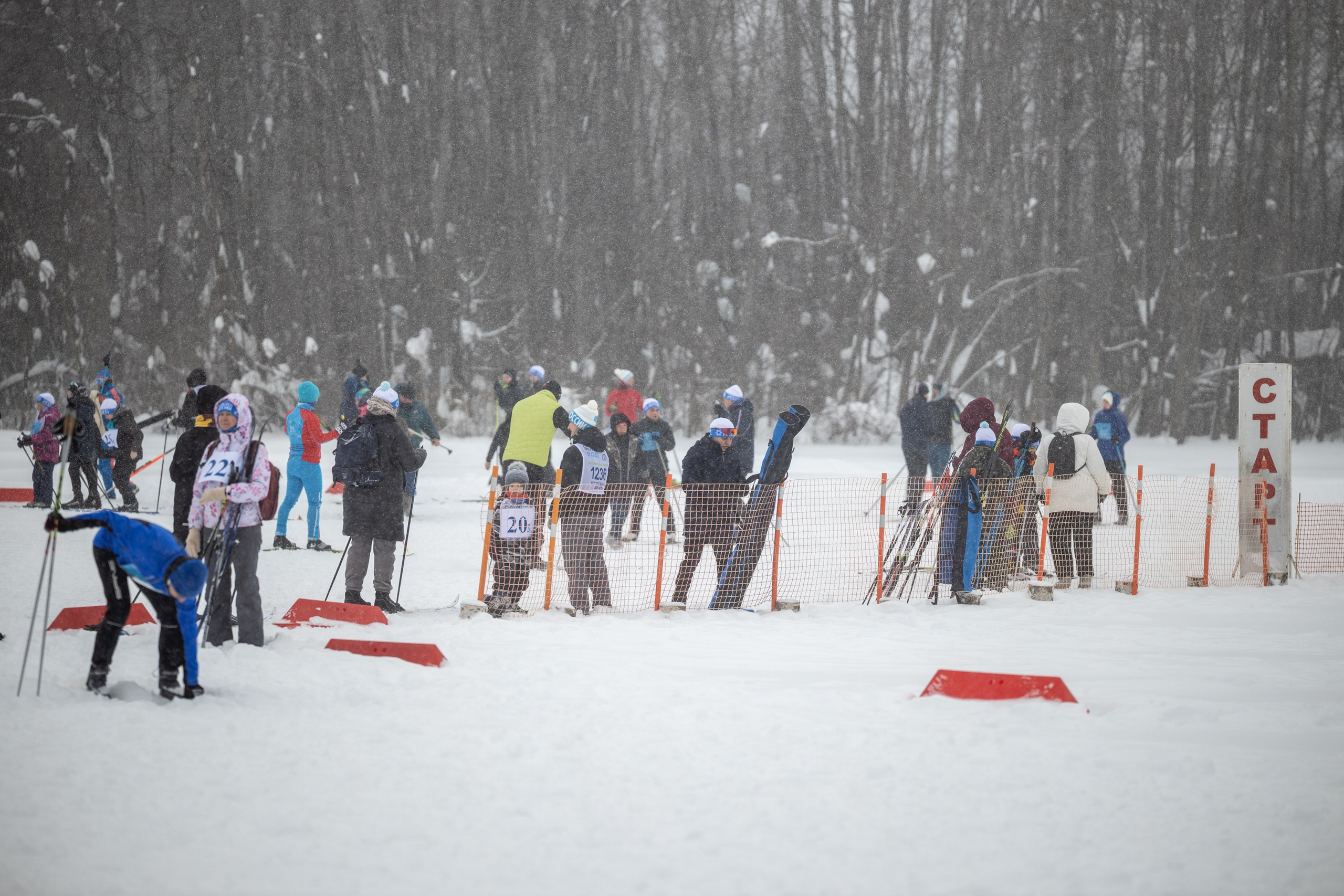ЛЫЖНЯ РОССИИ 2026 КОСТРОМА. Портретный фотограф в Костроме Наталия Клевинскас