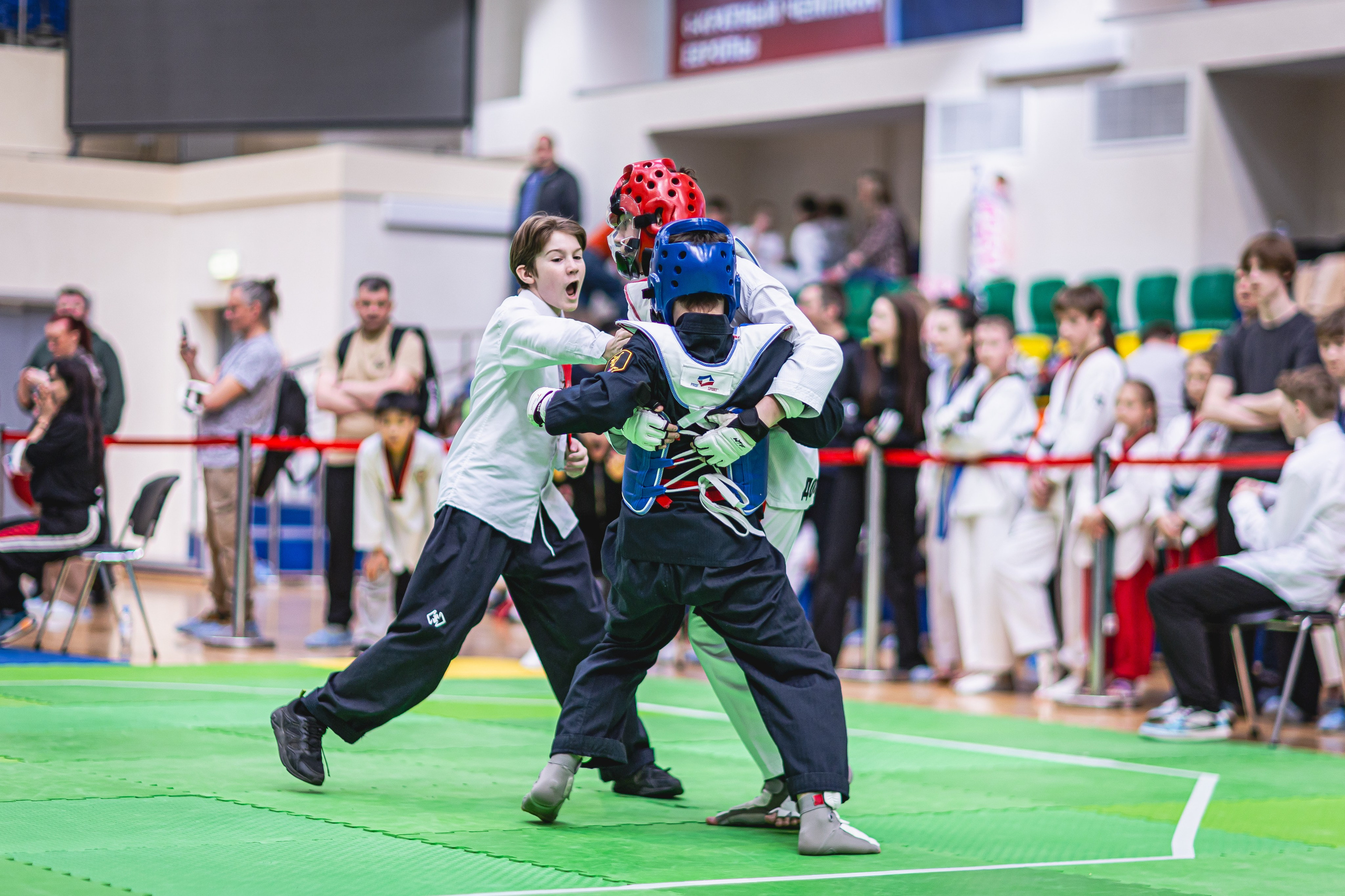 Турнир ВДЮФСОО «ФЕДЕРАЦИЯ ДЕТСКОГО ТХЭКВОНДО РОССИИ» и МОО СПКЕ «ЭРИДАН» по «СПОРТИВНОМУ БОЮ КЕРУГИ». Спортивный фотограф Максим Серегин