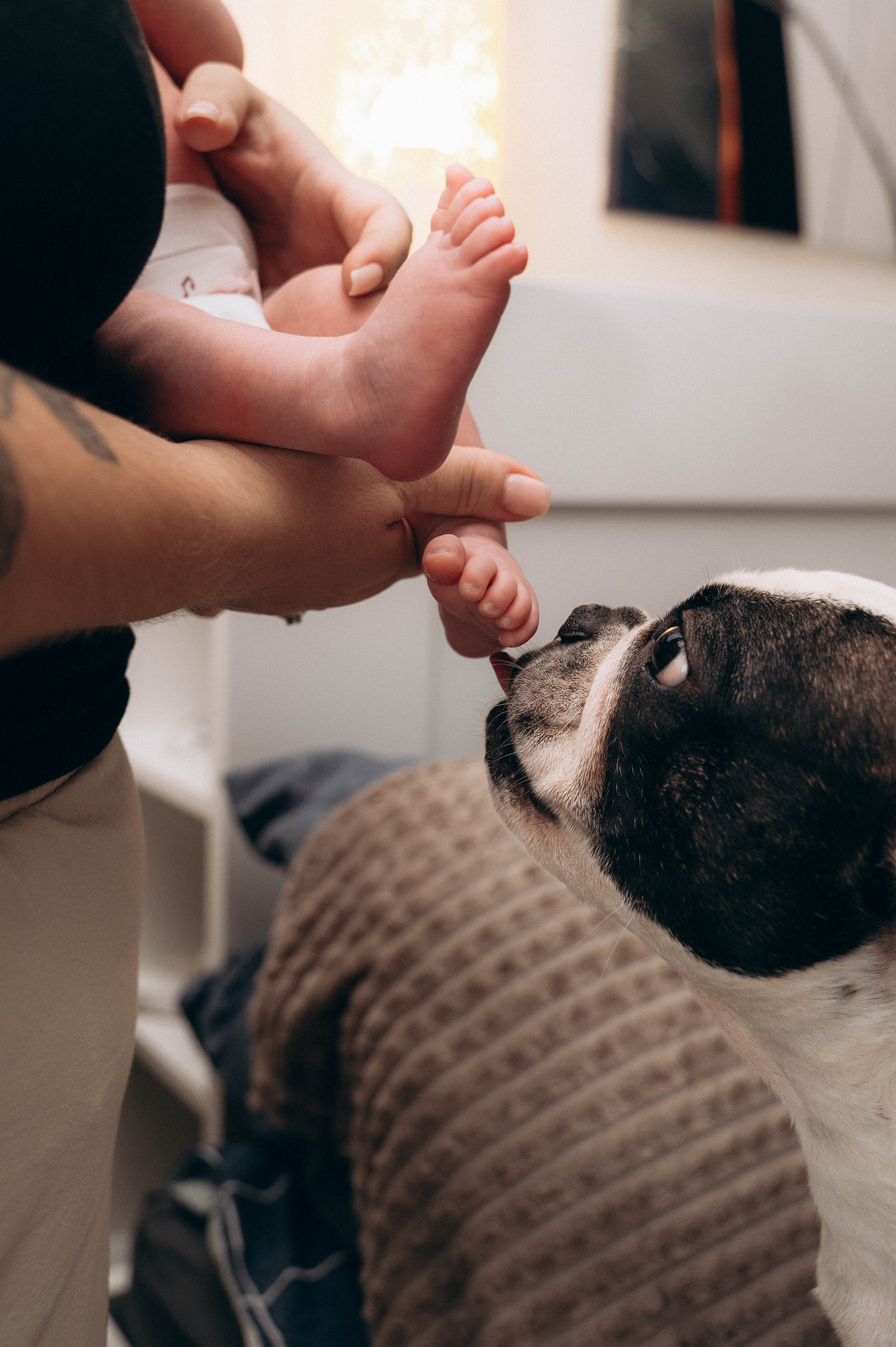 Услуги. Фотограф Москва — Мытищи — Владимир