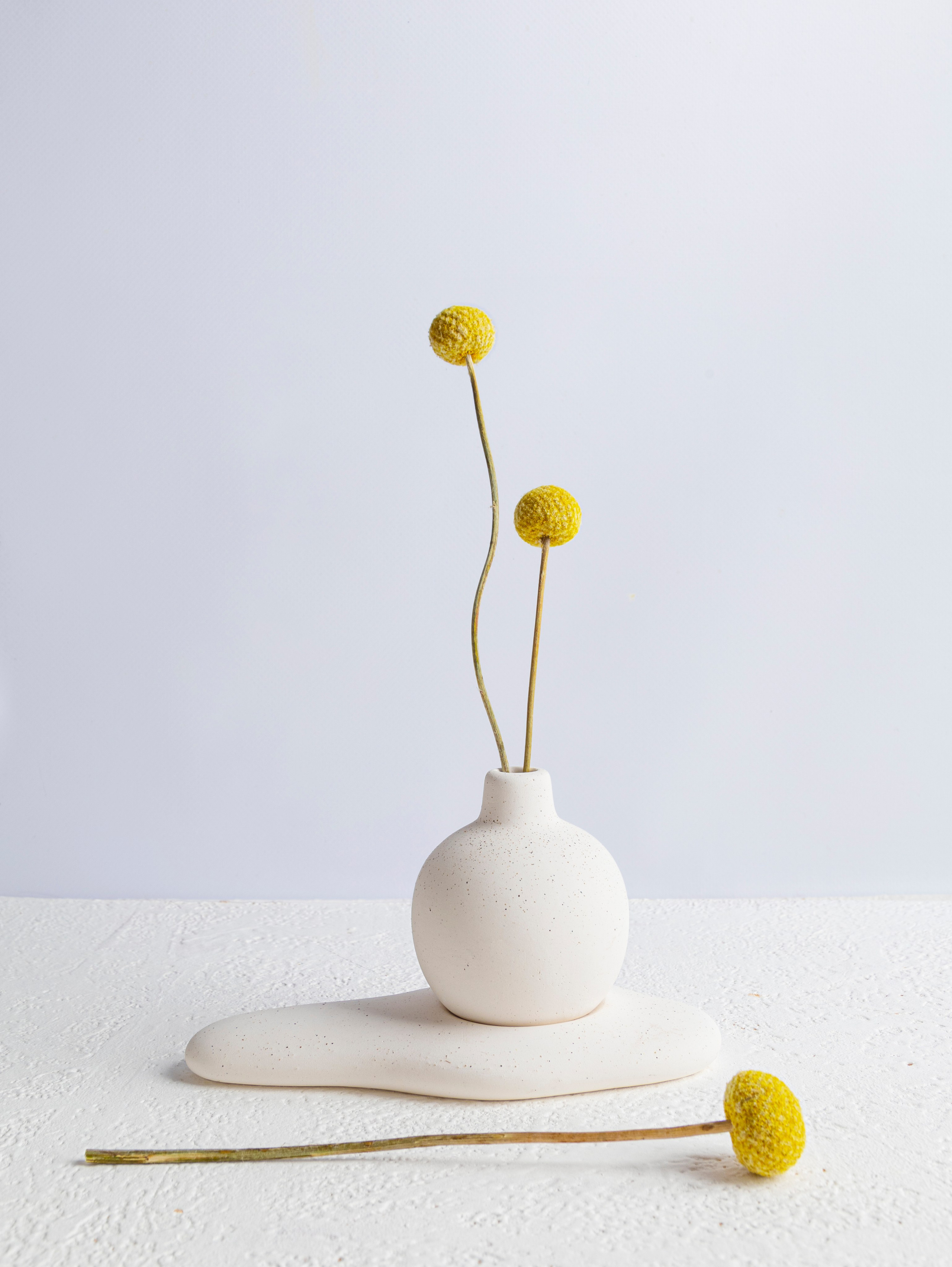 Предметный фотограф для бизнеса и маркетплейс в Санкт-Петербурге и Ленинградской области