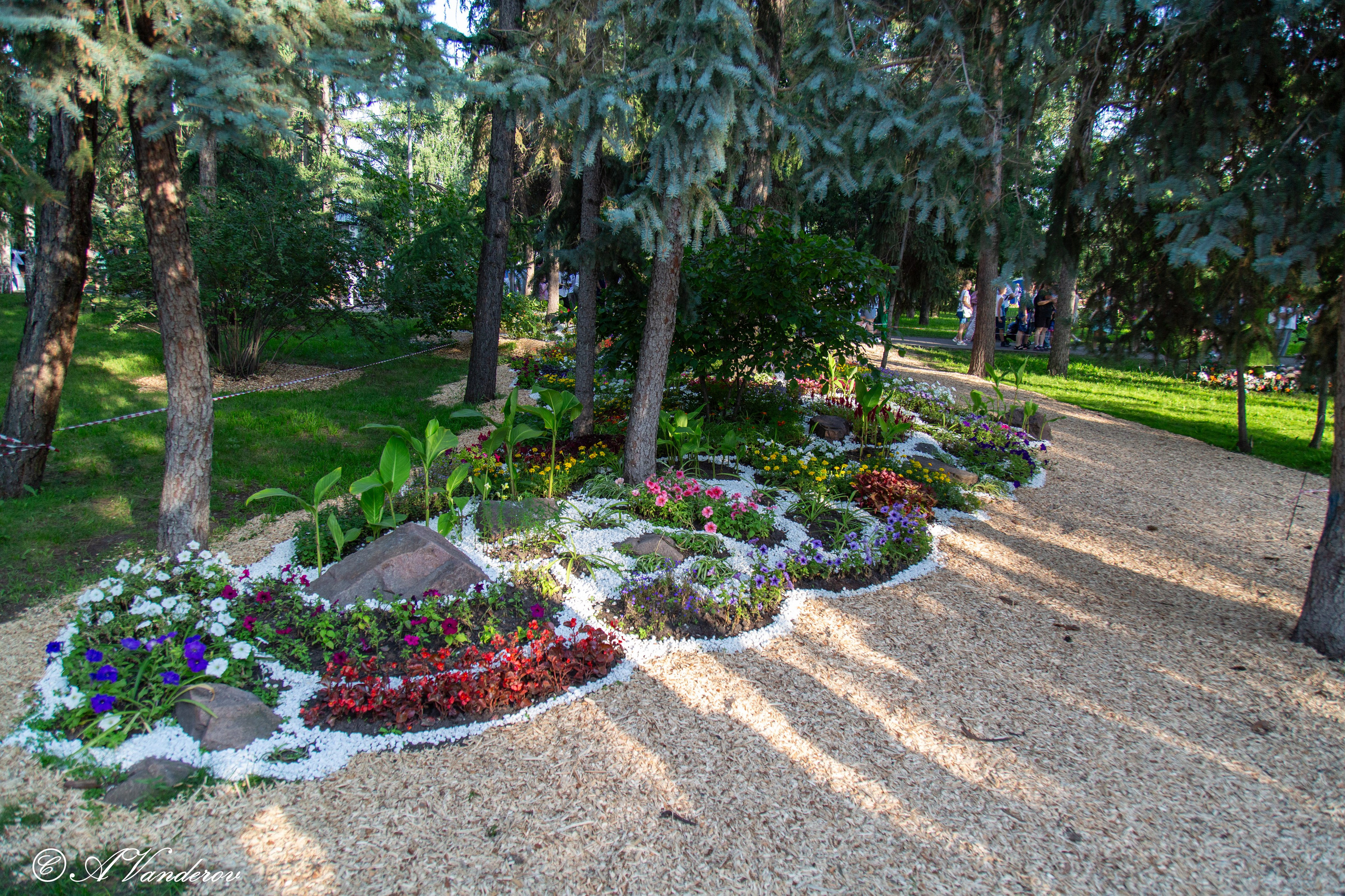 День города 03.08.2024. Фотограф Омск | Александр Вандеров