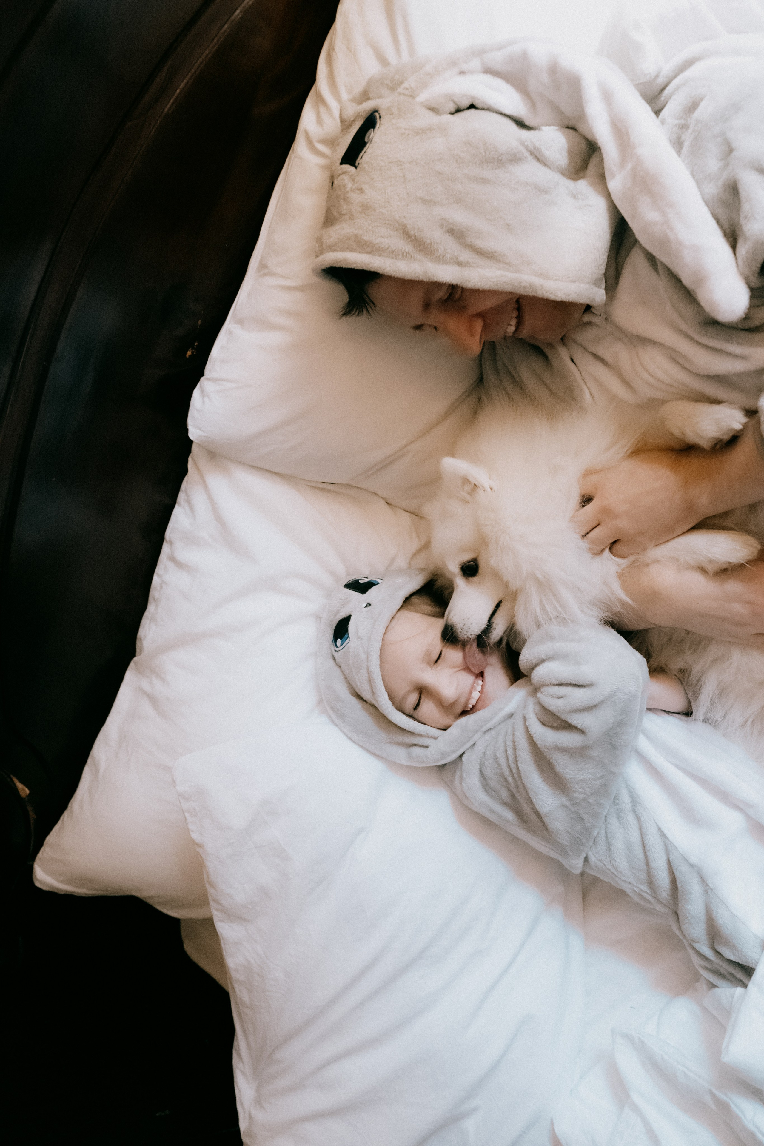 Новогодняя сказка: «Он настоящий!». Кошенкова Мария: портретный и репортажный фотограф. Санкт-Петербург