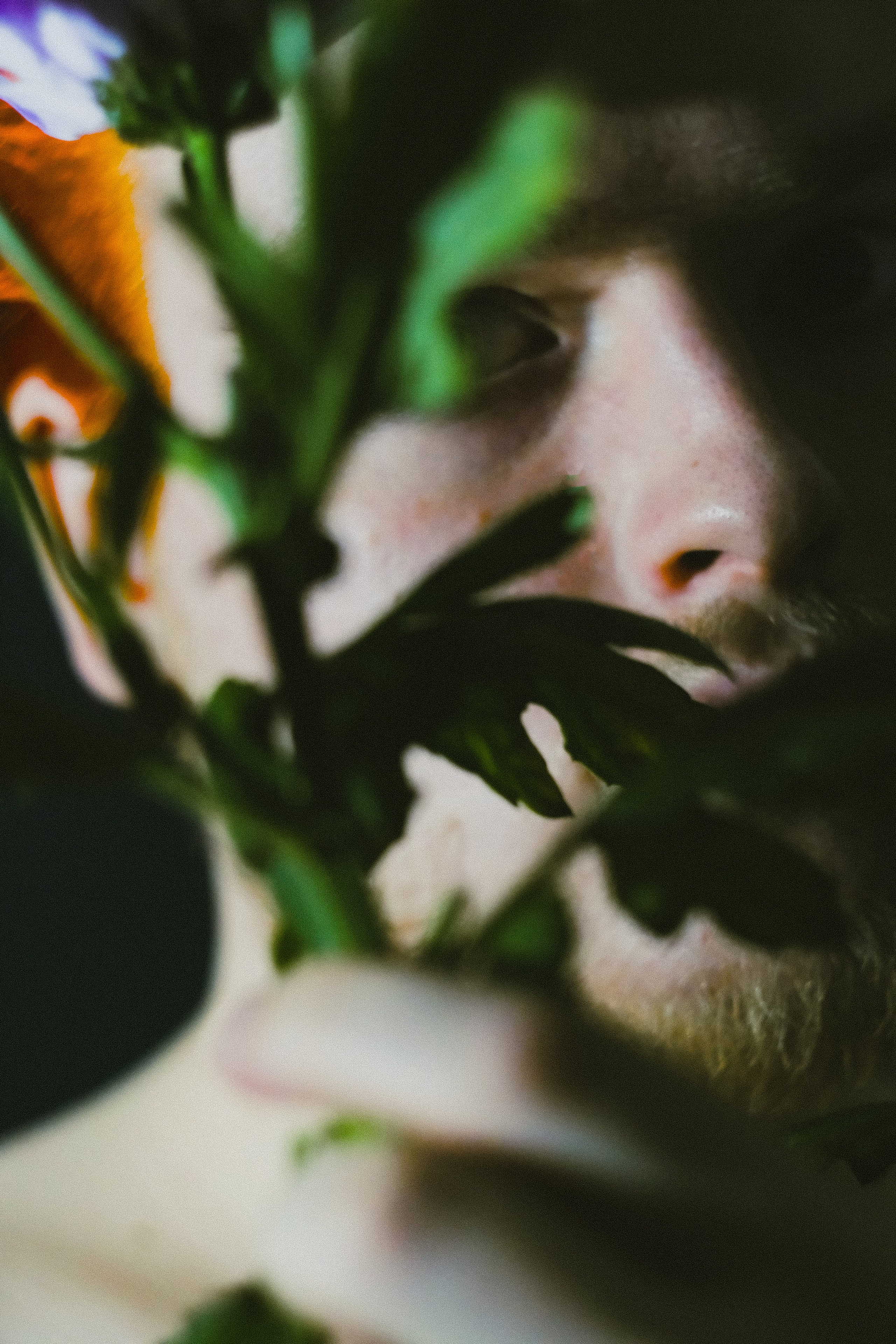 Проекты. Прометей ~ Фотограф