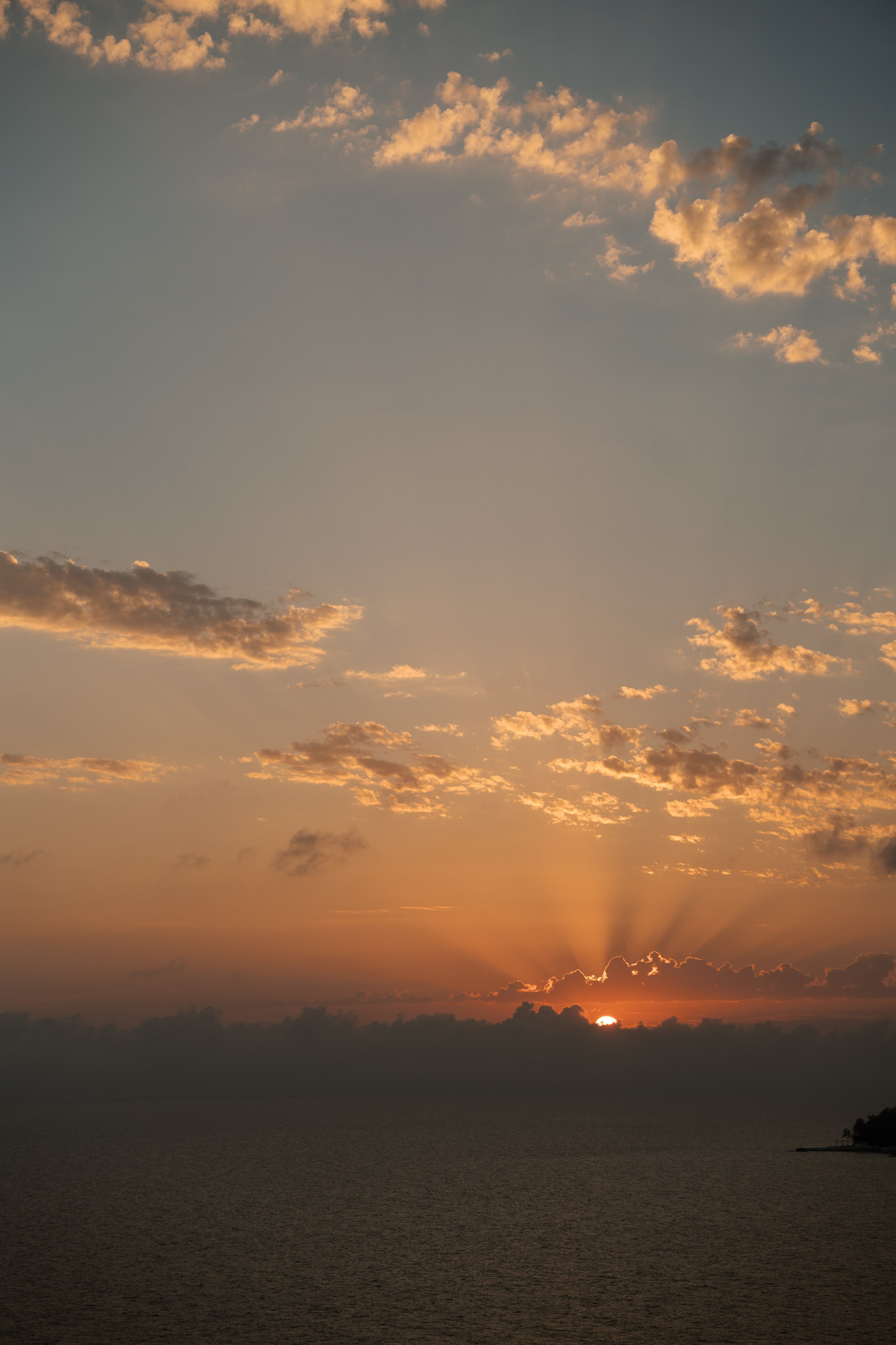 Алексей и Анна