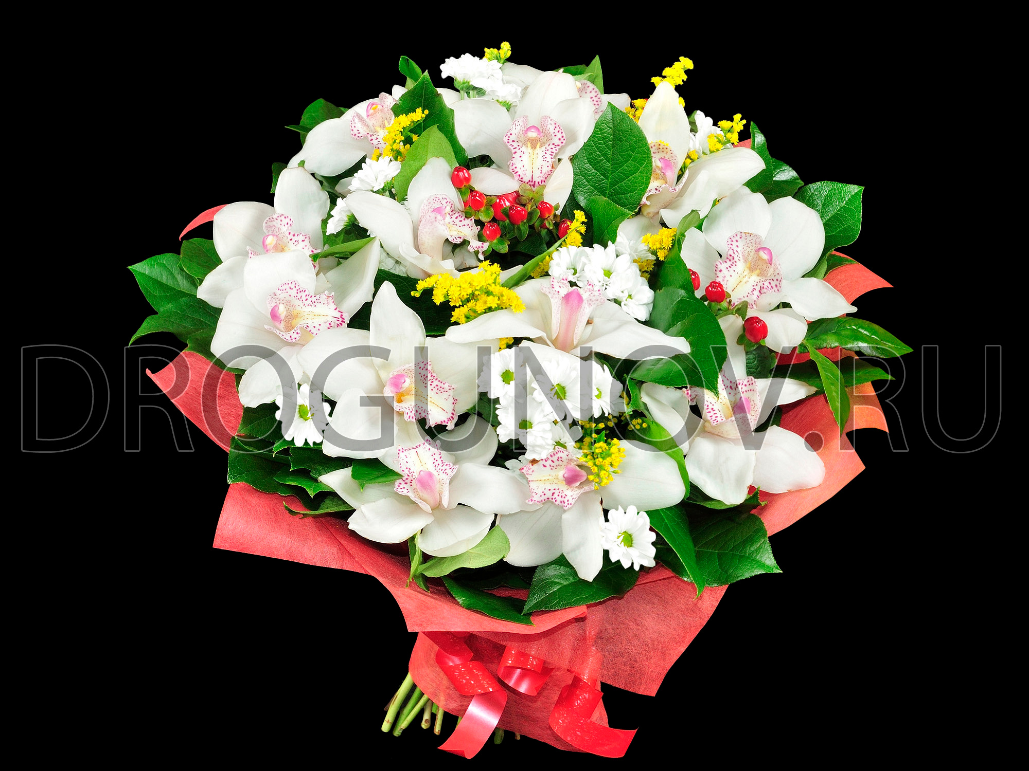 белые орхидеи в букете в красной упаковке на черном фоне