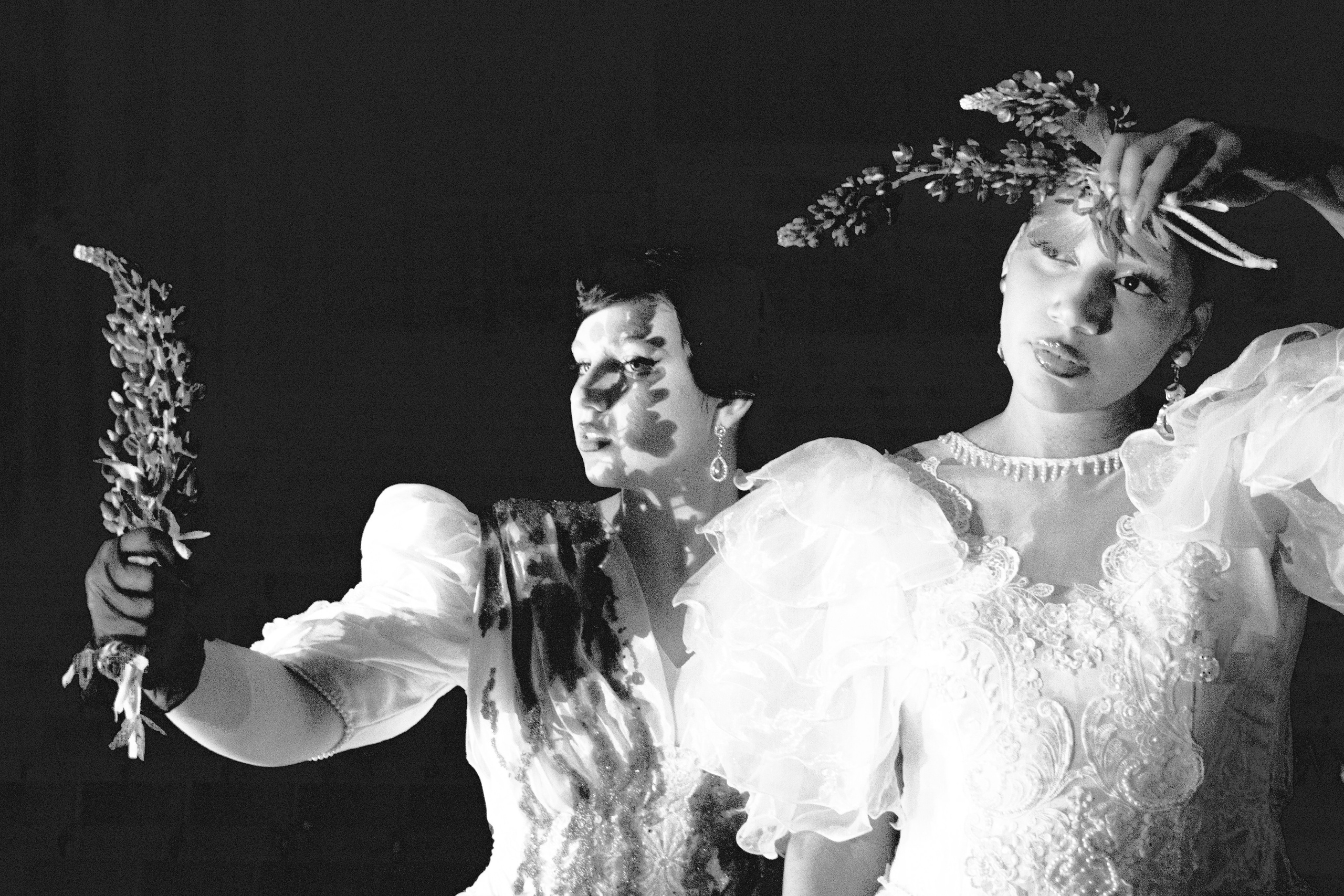 THE LOST THEATER. Rosebud. core production