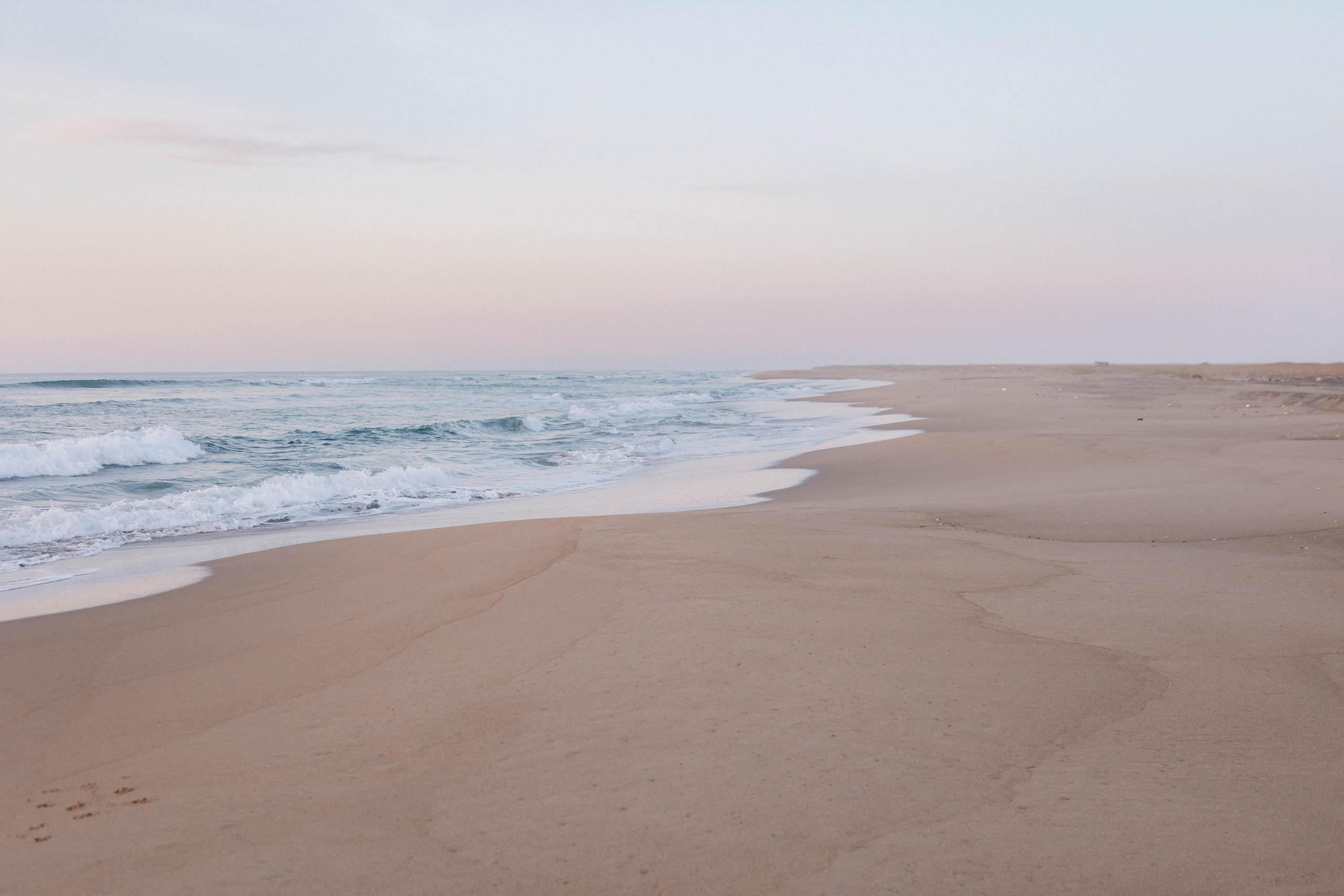 Пока не застроили. Evgeniya Kokurina