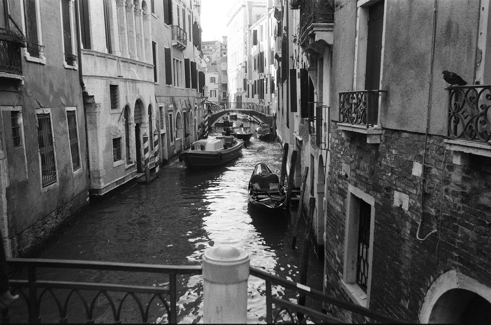 A gastrotourist. Venice
