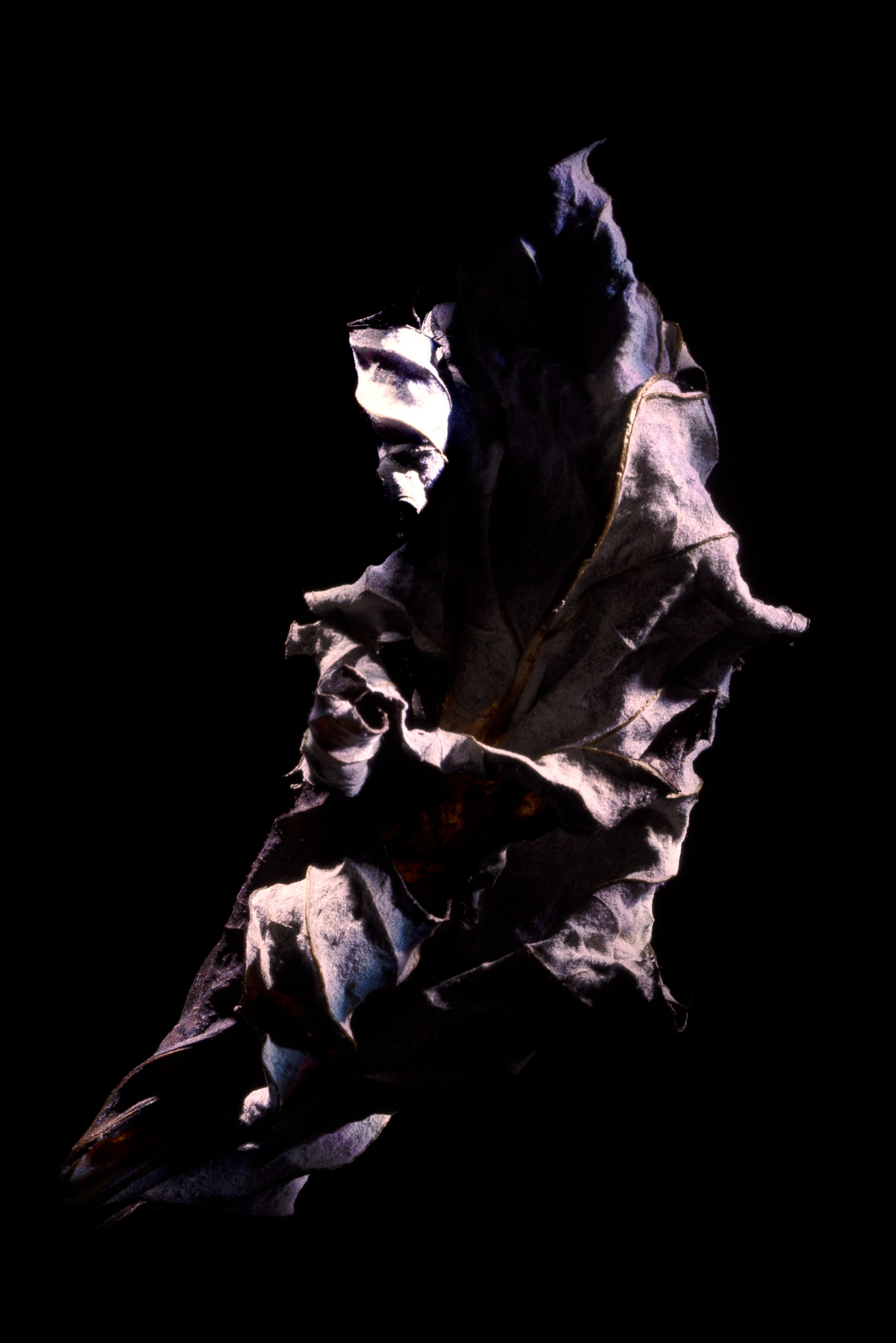 «Тебе кажется…?». Арт-фотограф во Владивостоке Дмитрий Осипчук