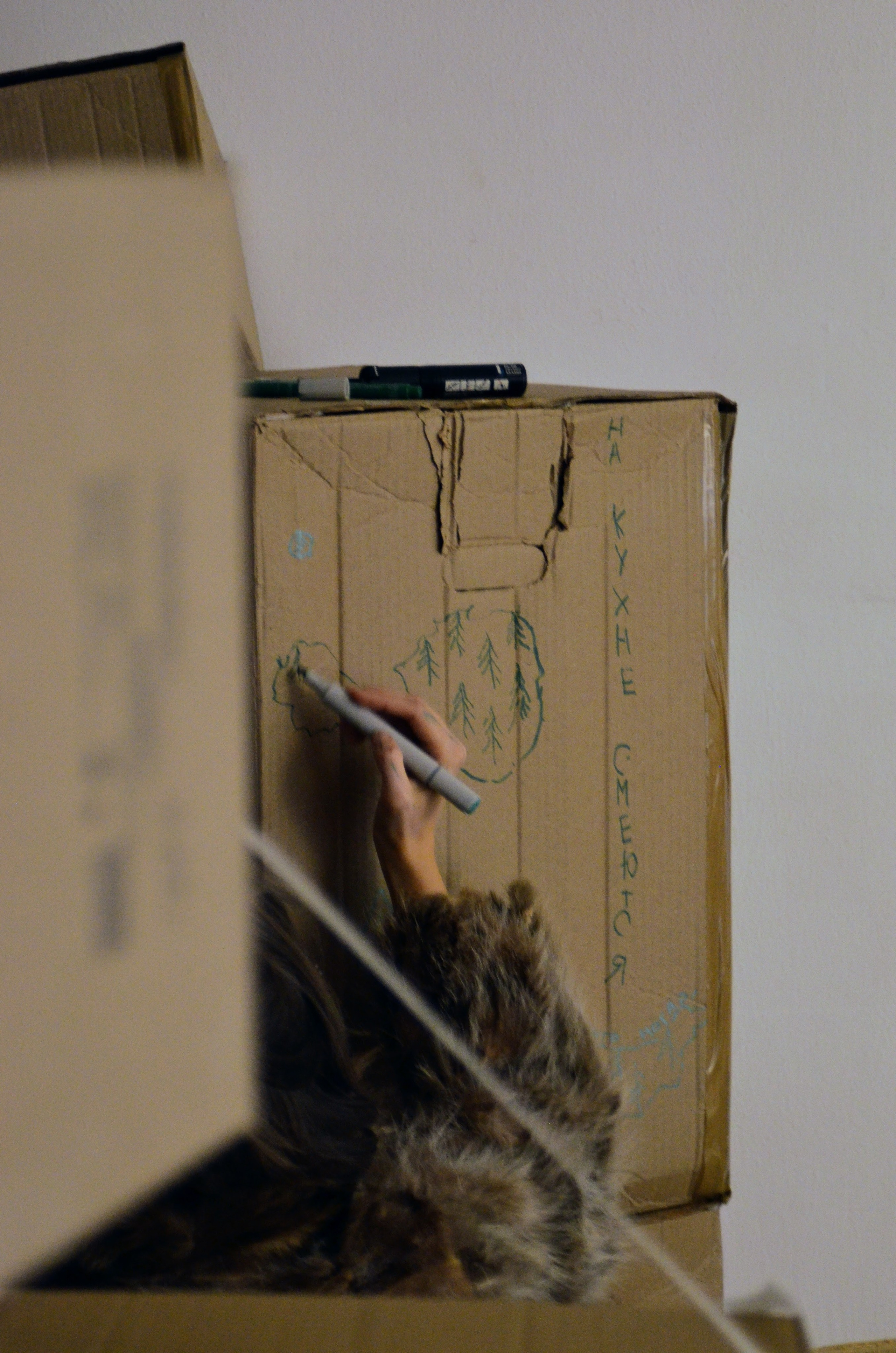 2024 performans “boxes”. Home