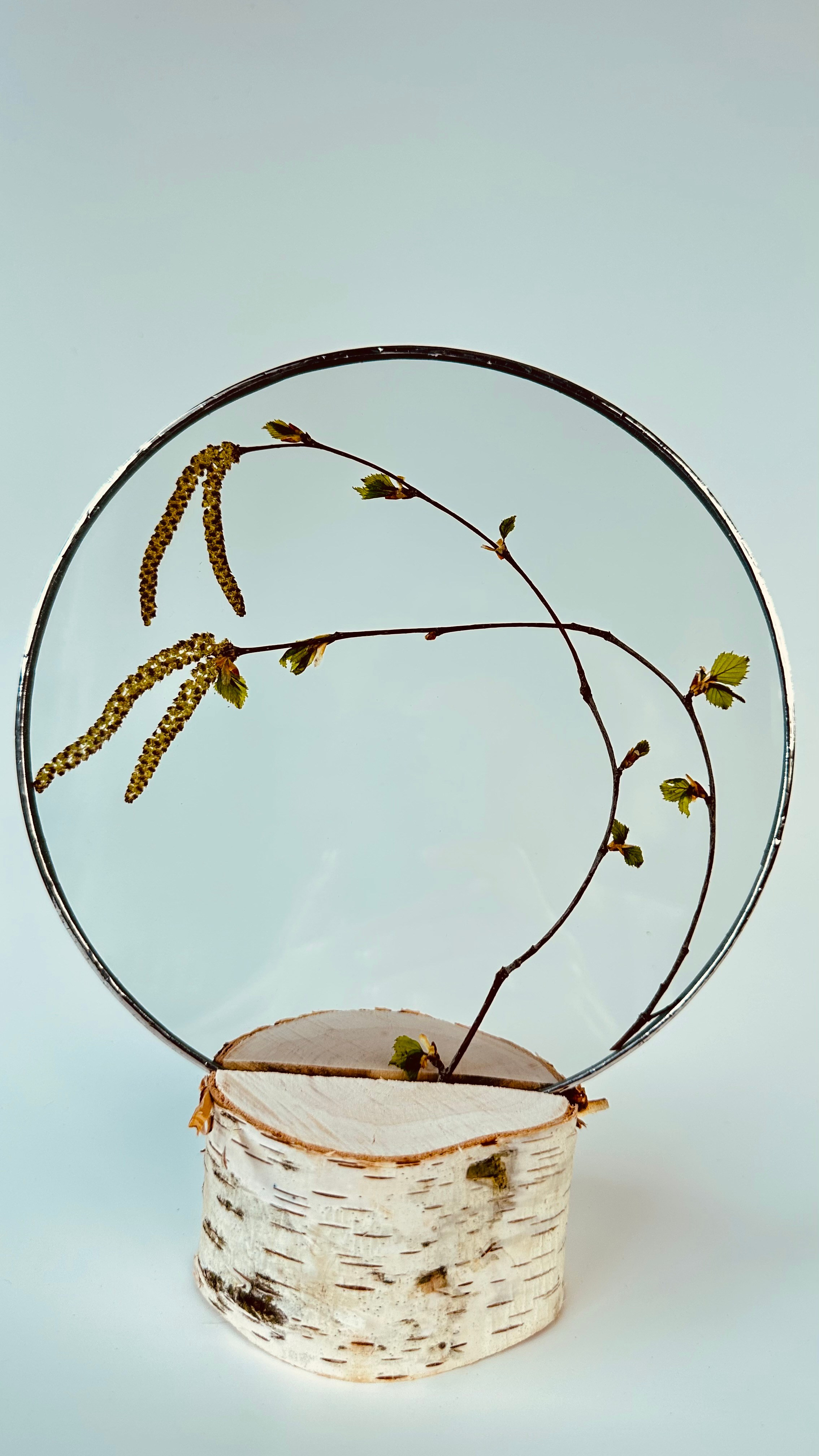 Береза круг 20 см. Оформляю пространства. Витражи с сухоцветами в технике Тиффани