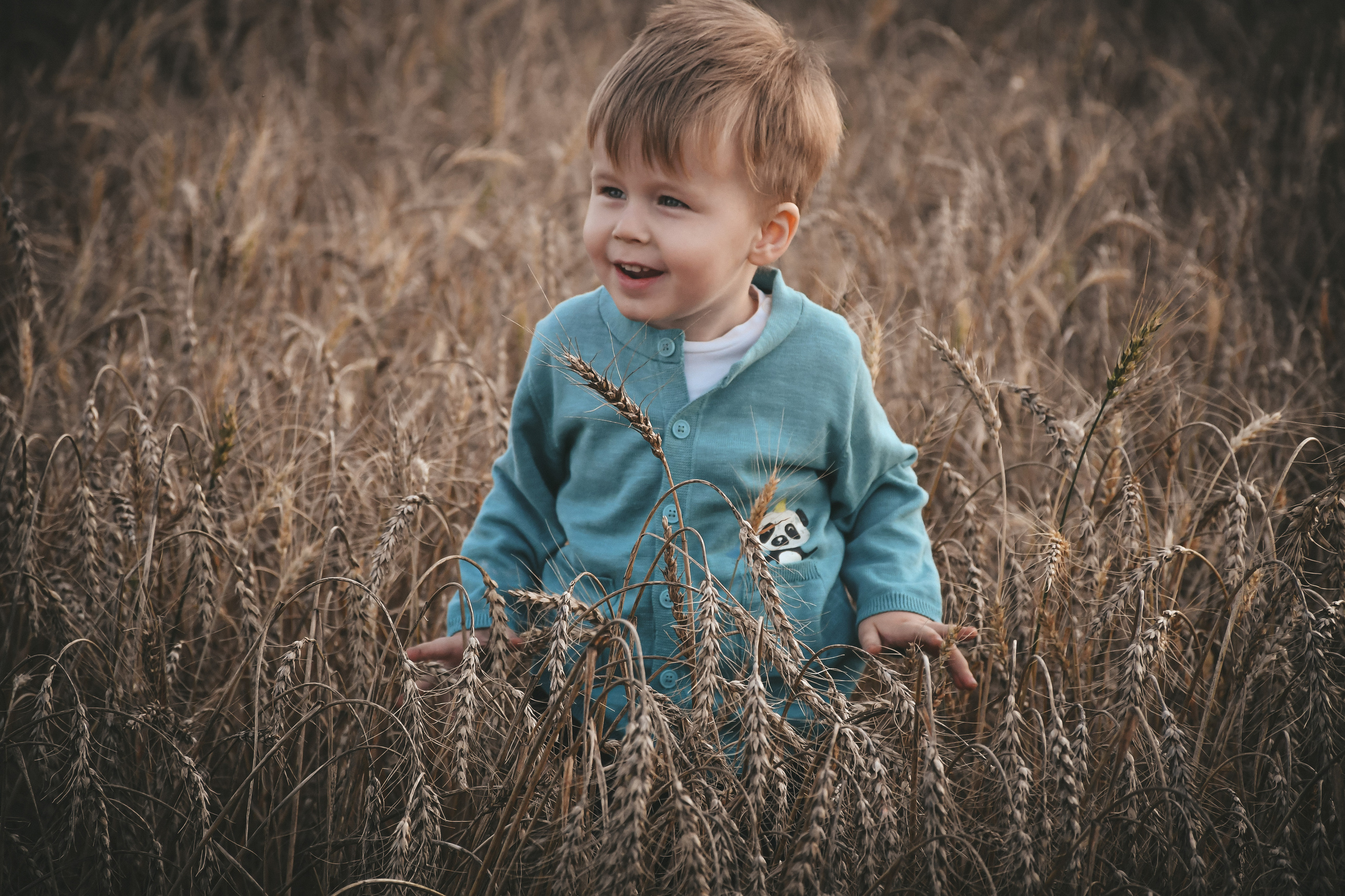 M O M E N T O. Photokarish