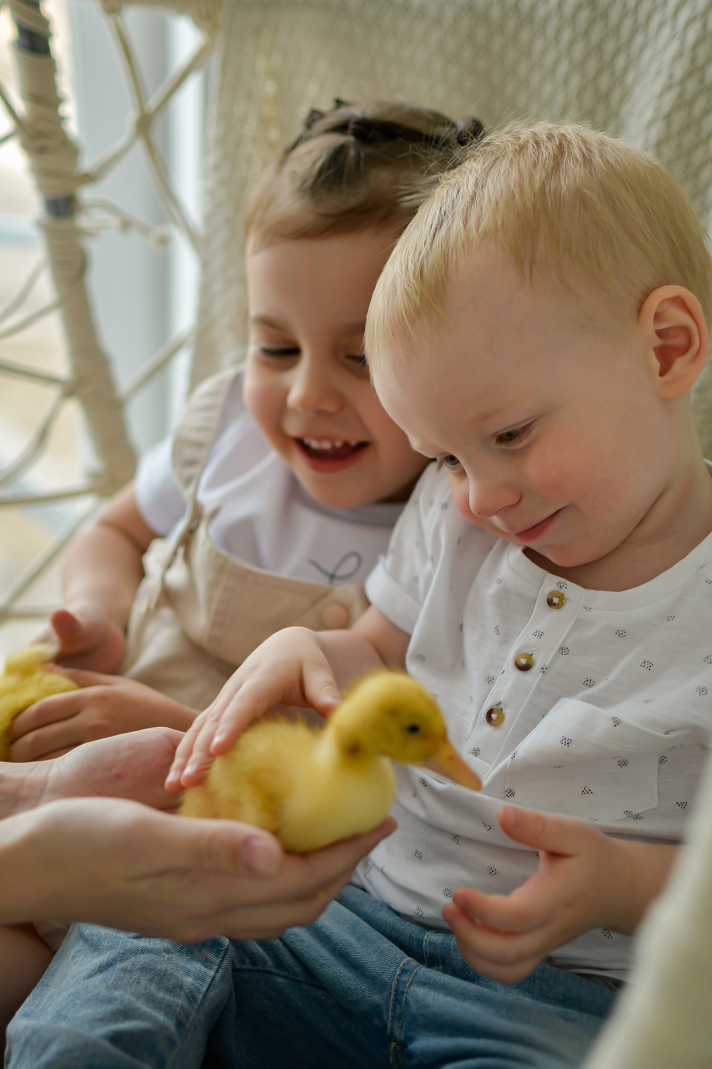 M O M E N T O. Photokarish