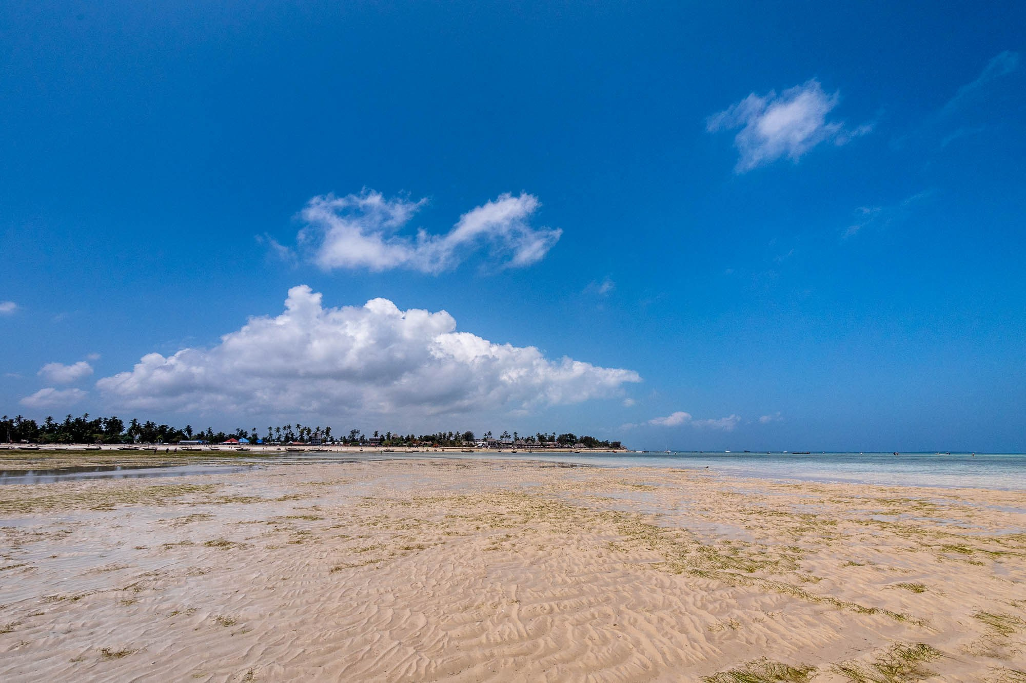 Африка, Танзания, Занзибар, Нунгви. Africa, Tanzania, Zanzibar, Nungwi. Фотограф Алексей Скоробогатько