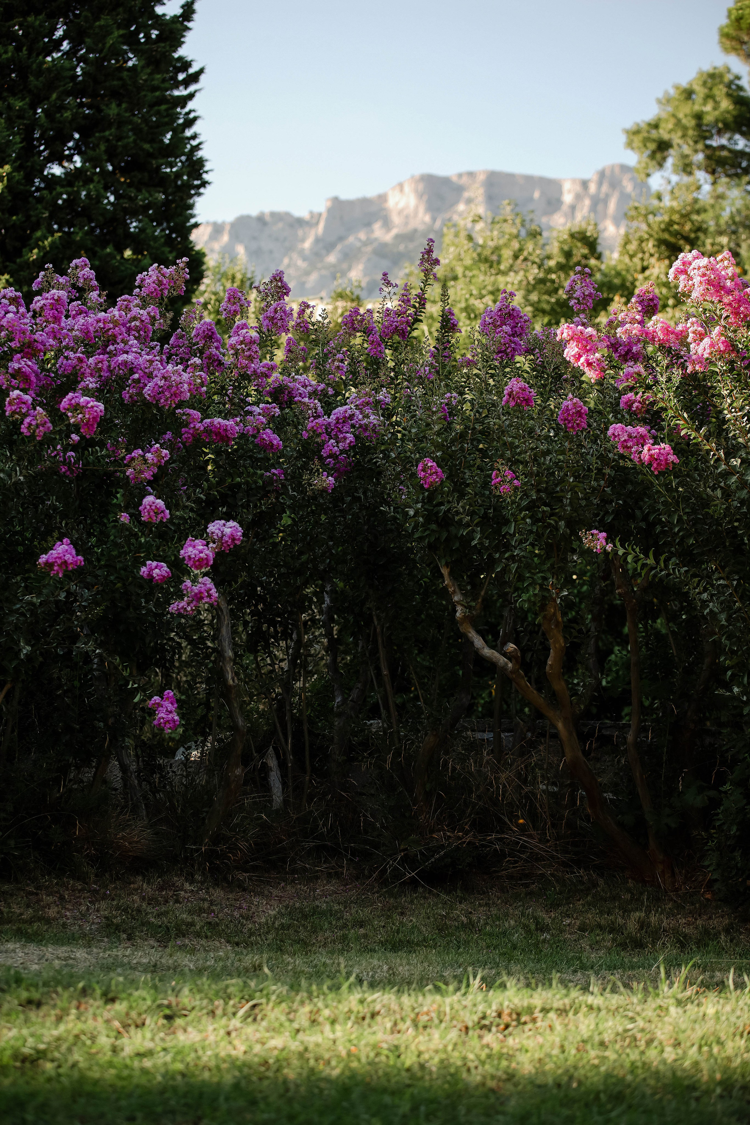 Папильон в Воронцовском дворце. Фотограф-анималист в Краснодаре Маша Мельникова