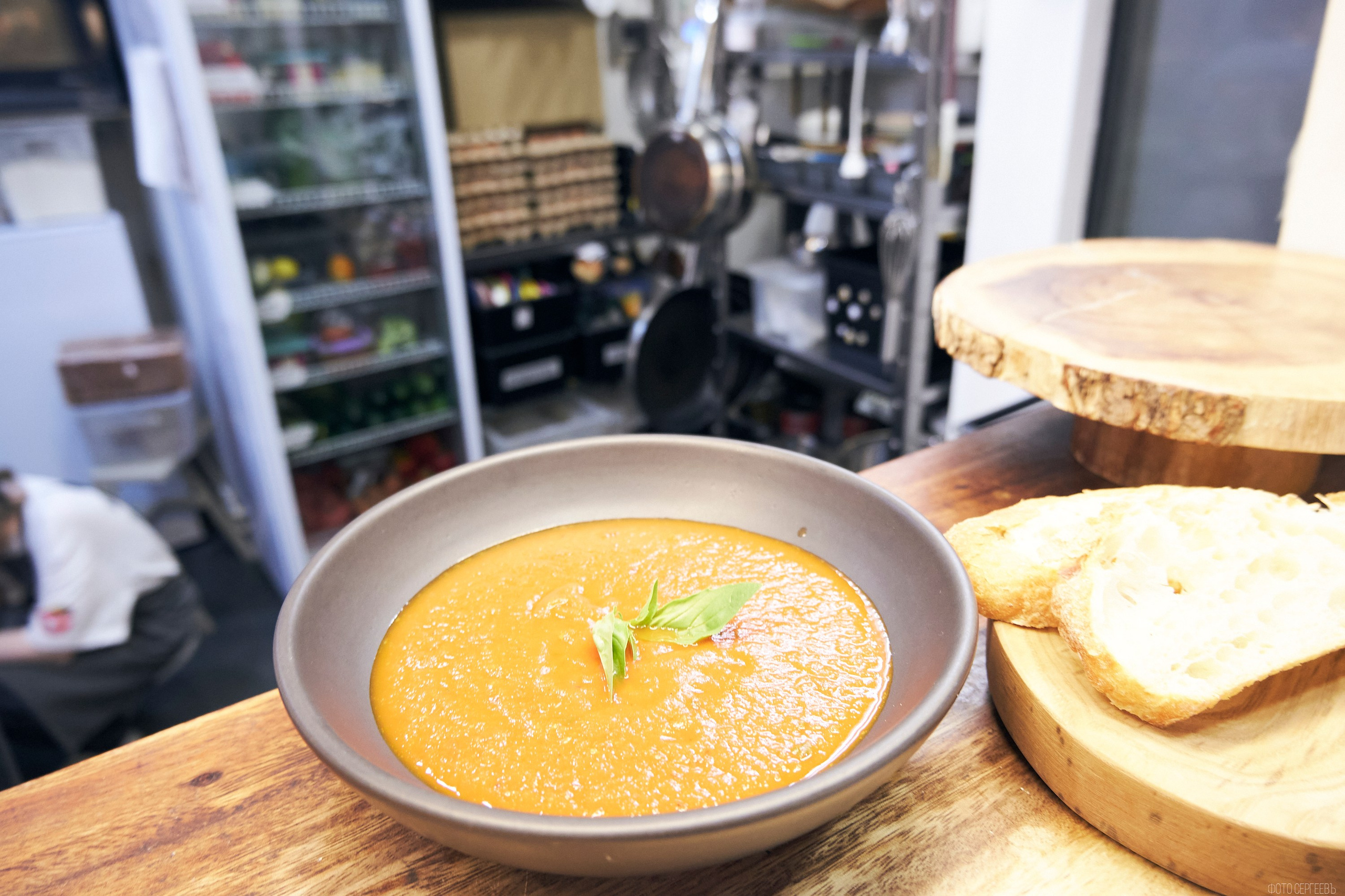 Кутята Coffee Shop. Фотографъ Сергѣевъ. Поймать мгновеніе