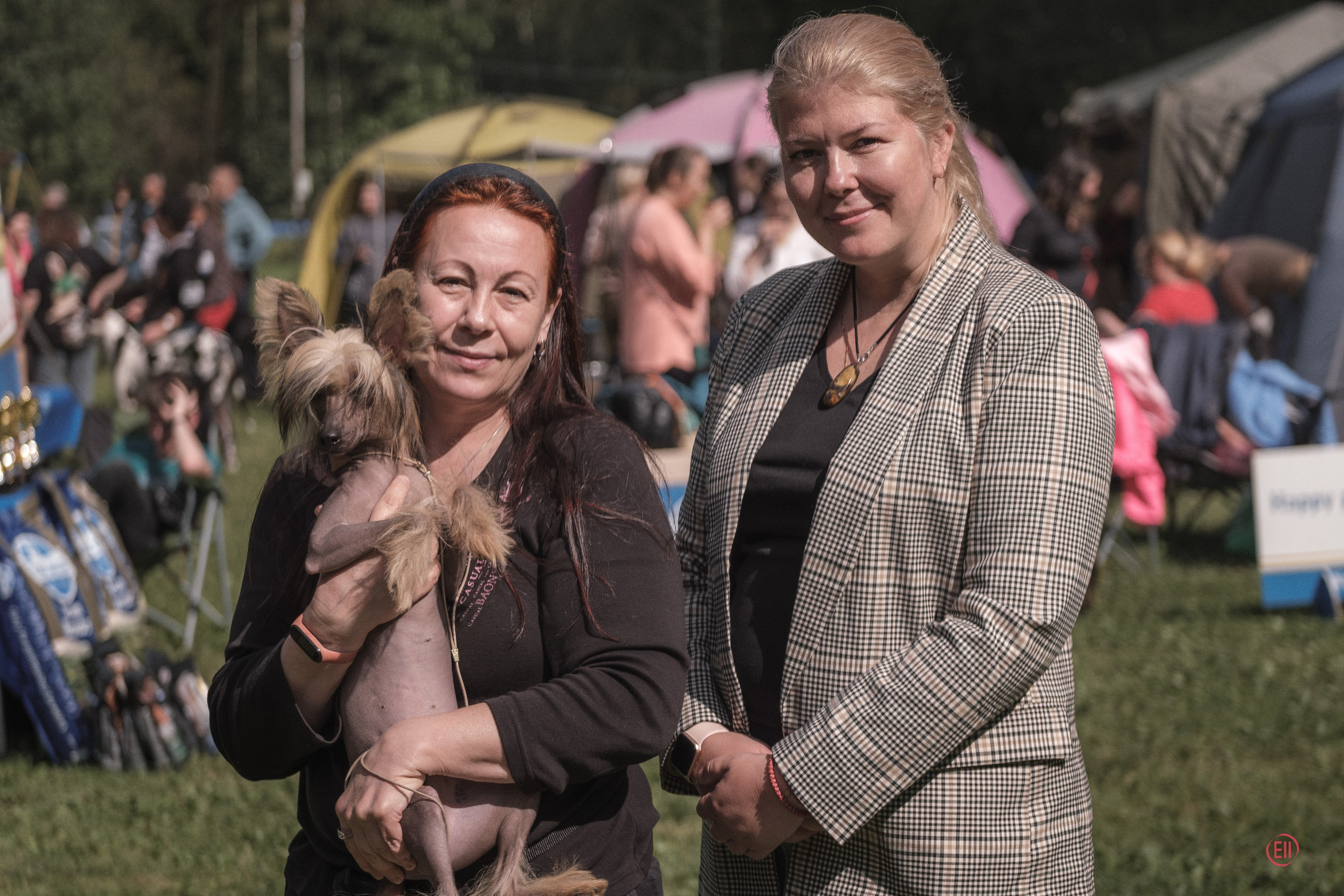 Moscow, MOO “Globus Plus”, SAS ChF rank exhibition. Chinese Crested Dog Kennel Poale Ell