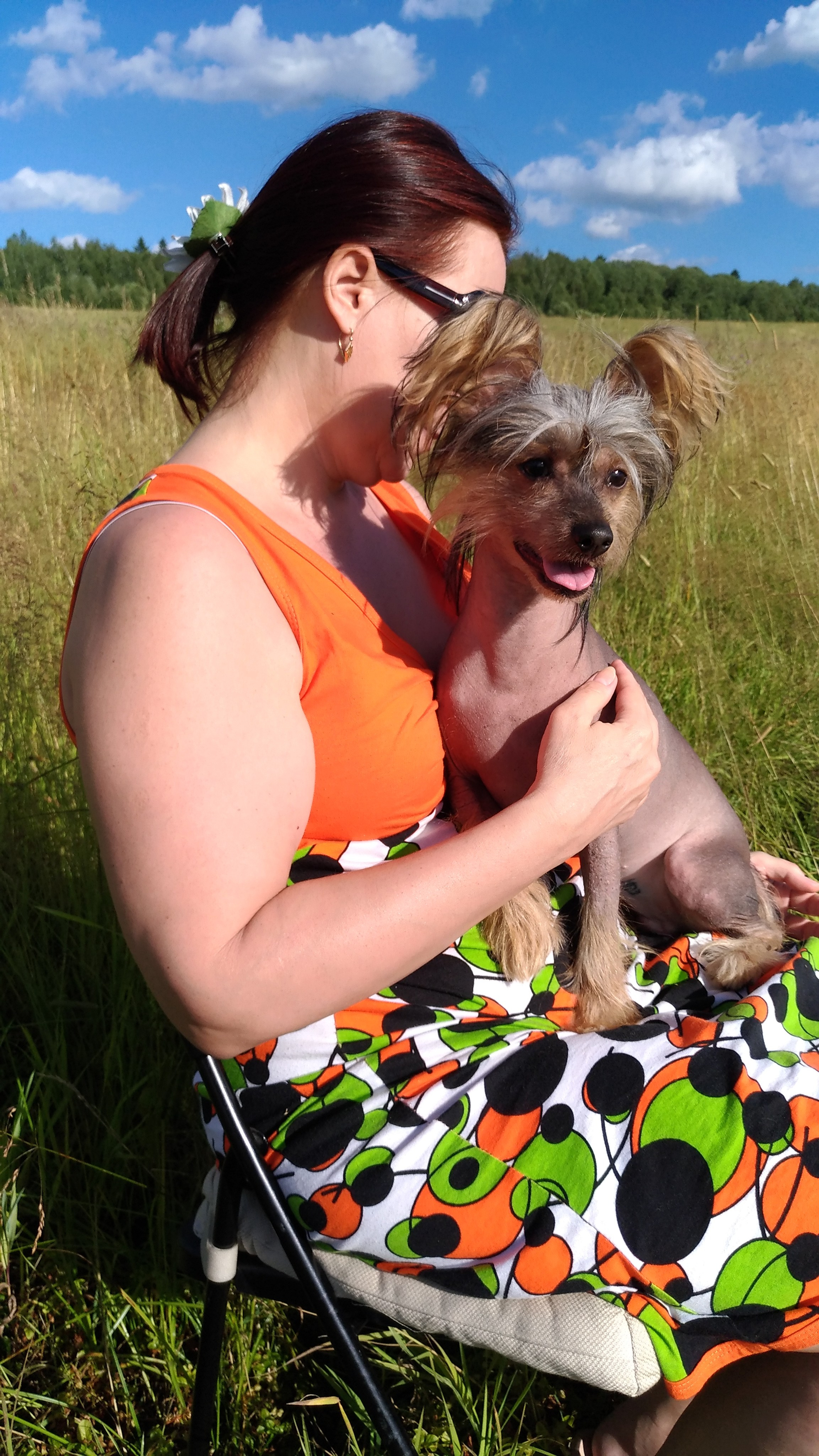 В поле под присмотром сокола. Питомник китайских хохлатых собак Poale Ell: купить щенка в питомнике