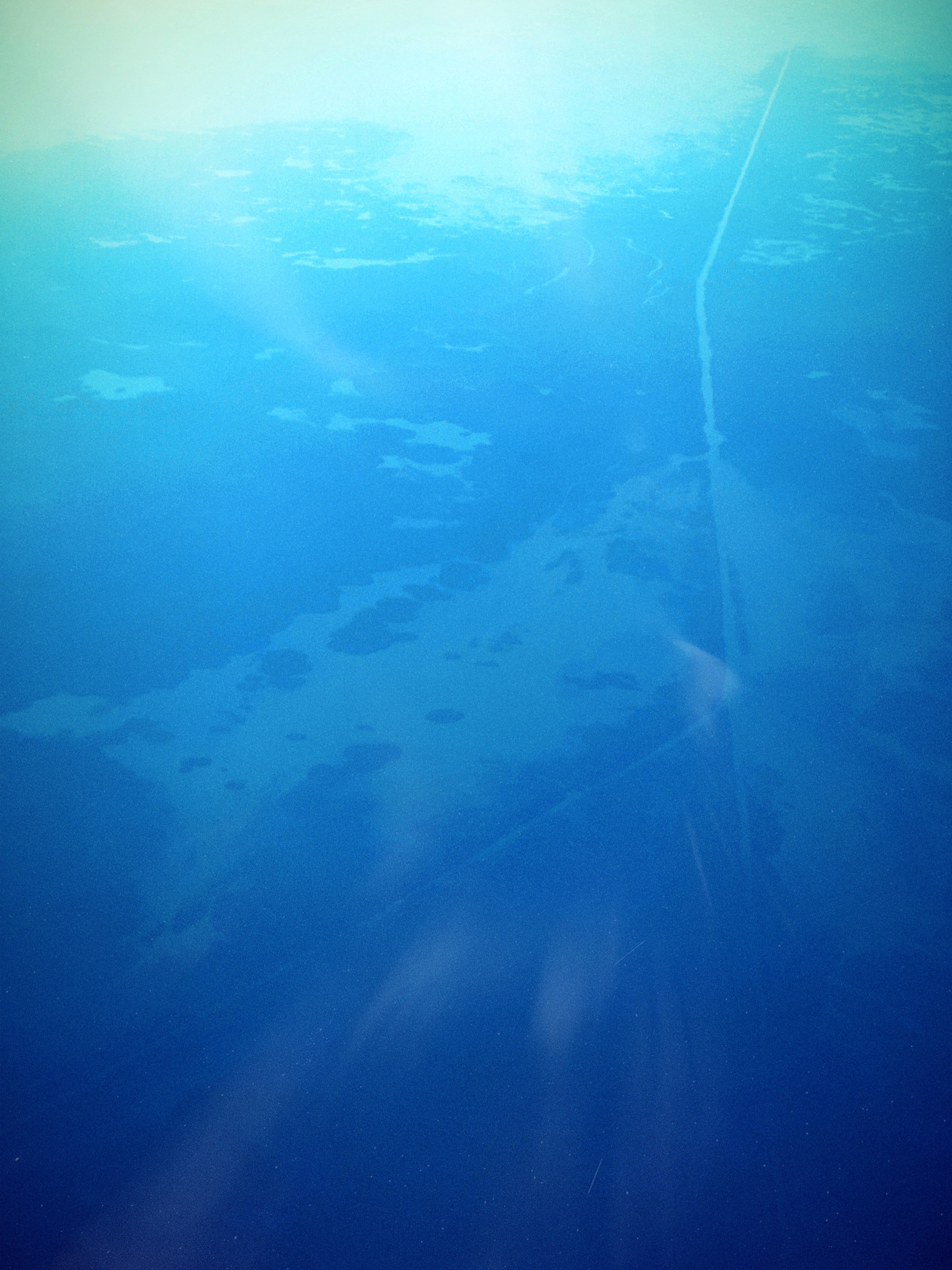 МК Мобильная фотография. Wedding photographer