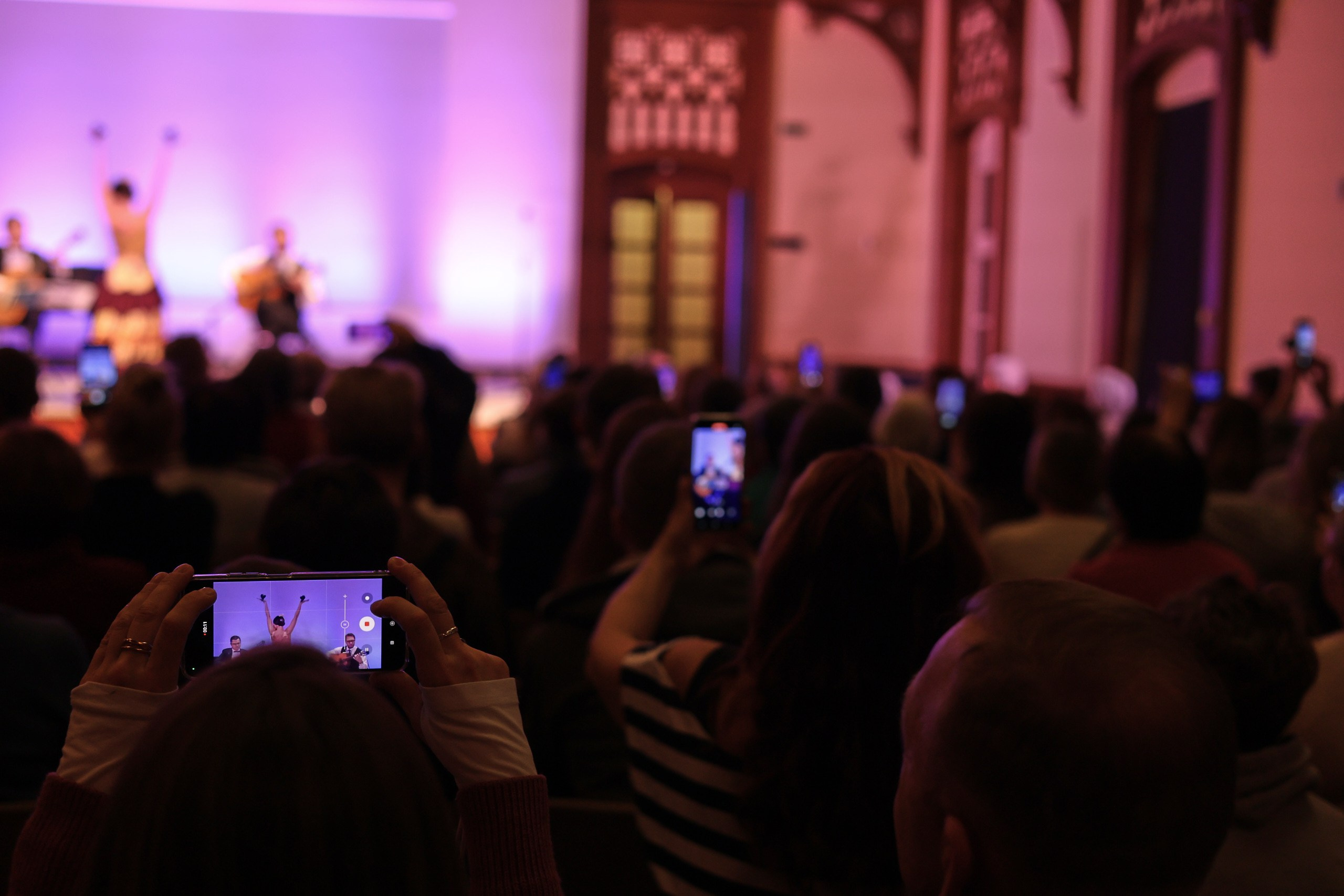 «Ночи в садах Испании» в Царицыно. Дмитрий Бородаев