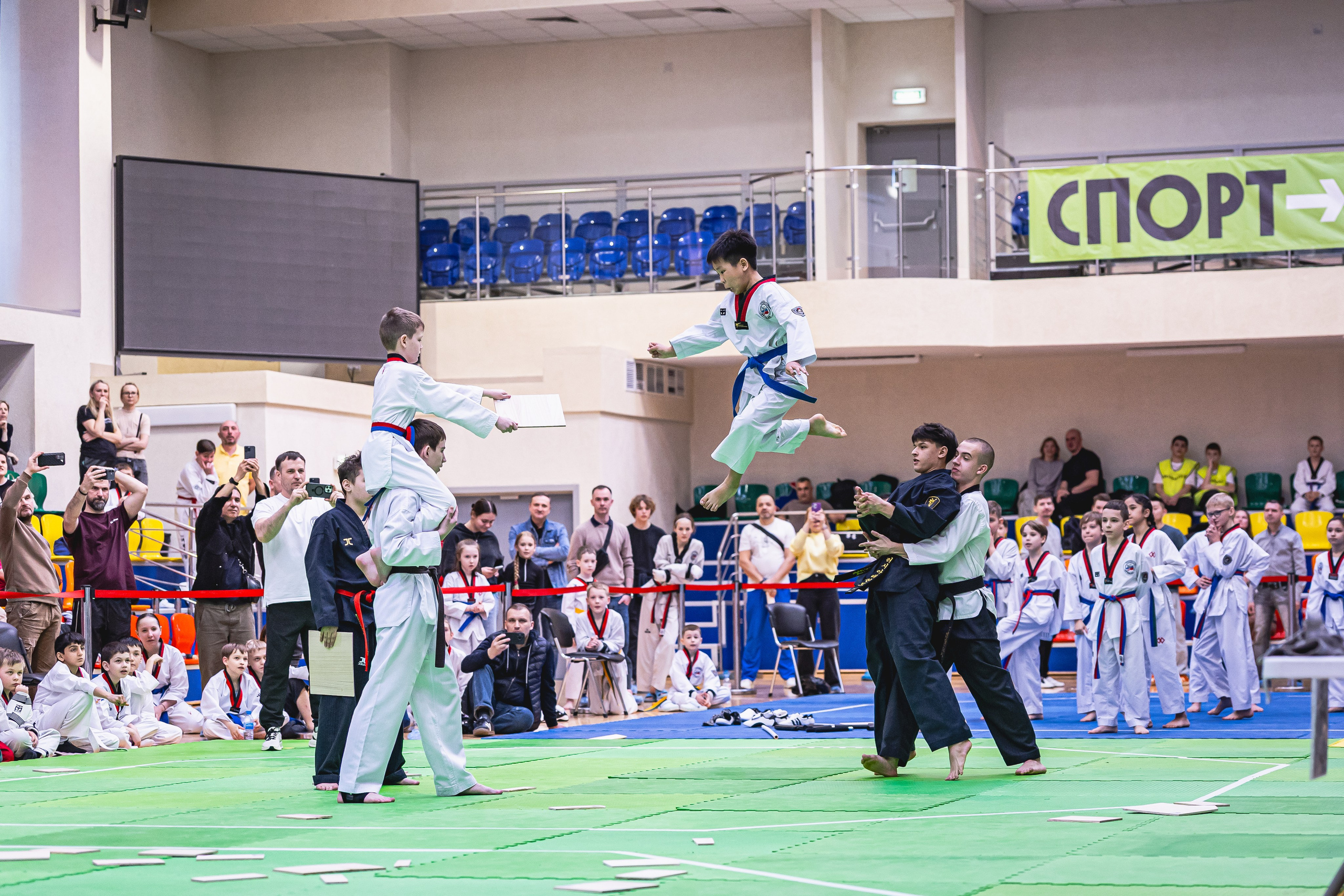 Турнир ВДЮФСОО «ФЕДЕРАЦИЯ ДЕТСКОГО ТХЭКВОНДО РОССИИ» и МОО СПКЕ «ЭРИДАН» по «СПОРТИВНОМУ БОЮ КЕРУГИ». Спортивный фотограф Максим Серегин