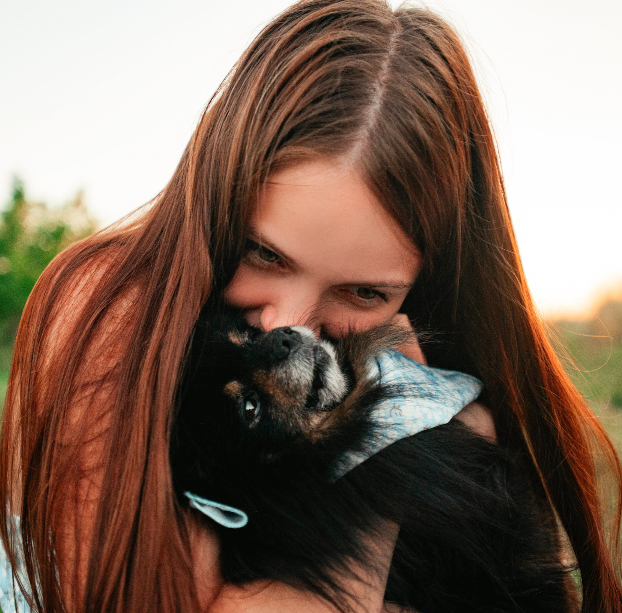 Вика и Рик на закате. Фотограф — анималист Саратов/Москва|Плужникова Юлия