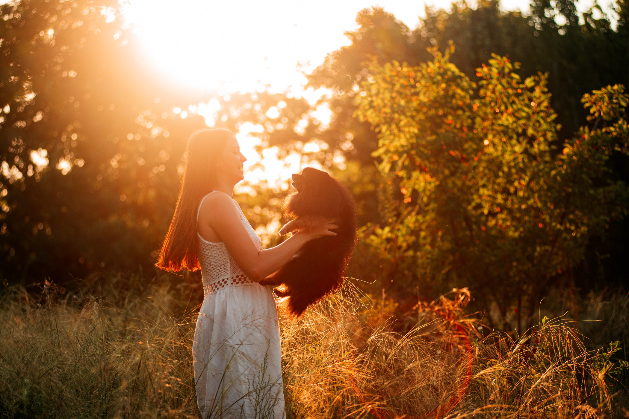 Вика и Рик на закате. Фотограф — анималист Саратов/Москва|Плужникова Юлия