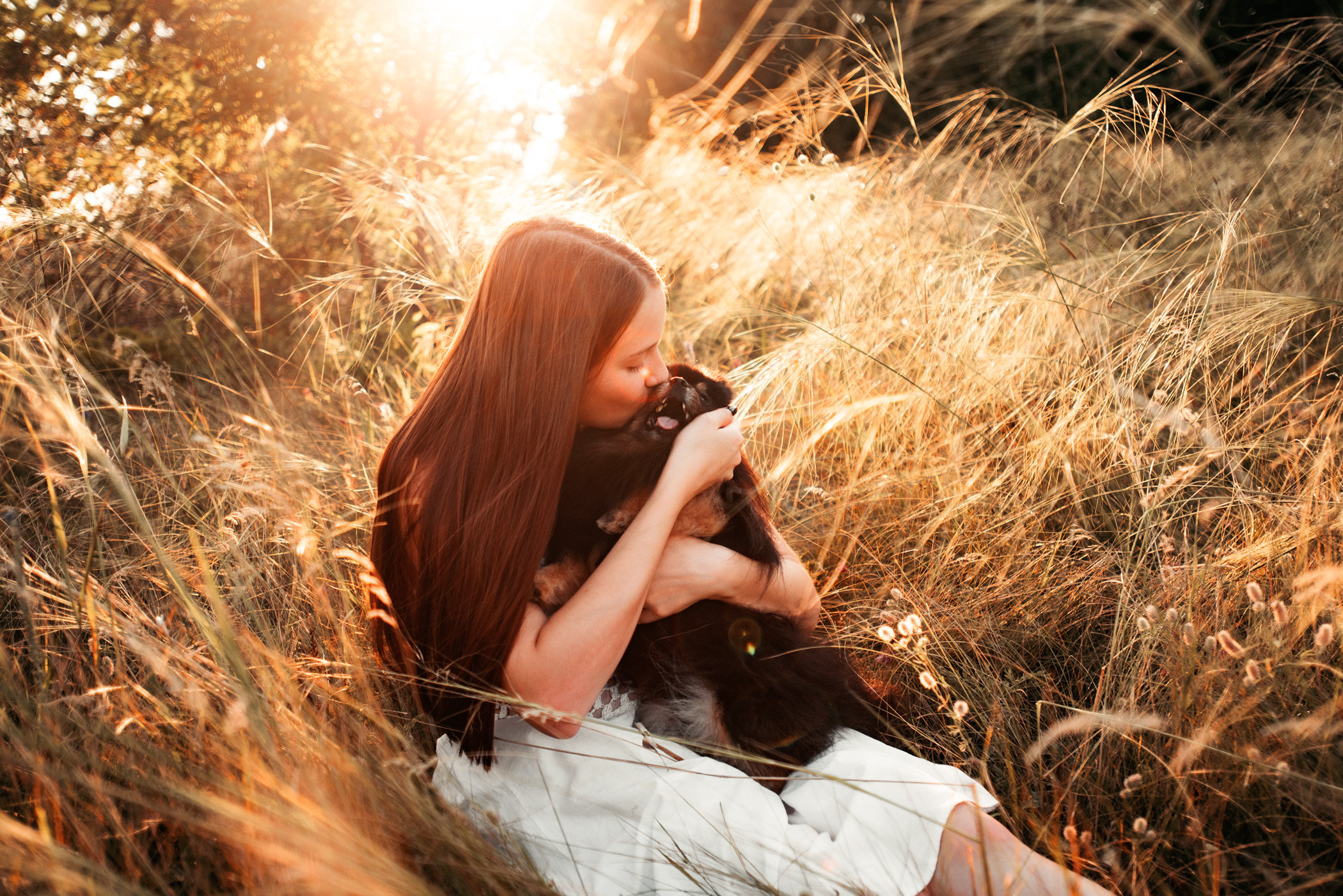 Вика и Рик на закате. Фотограф — анималист Саратов/Москва|Плужникова Юлия