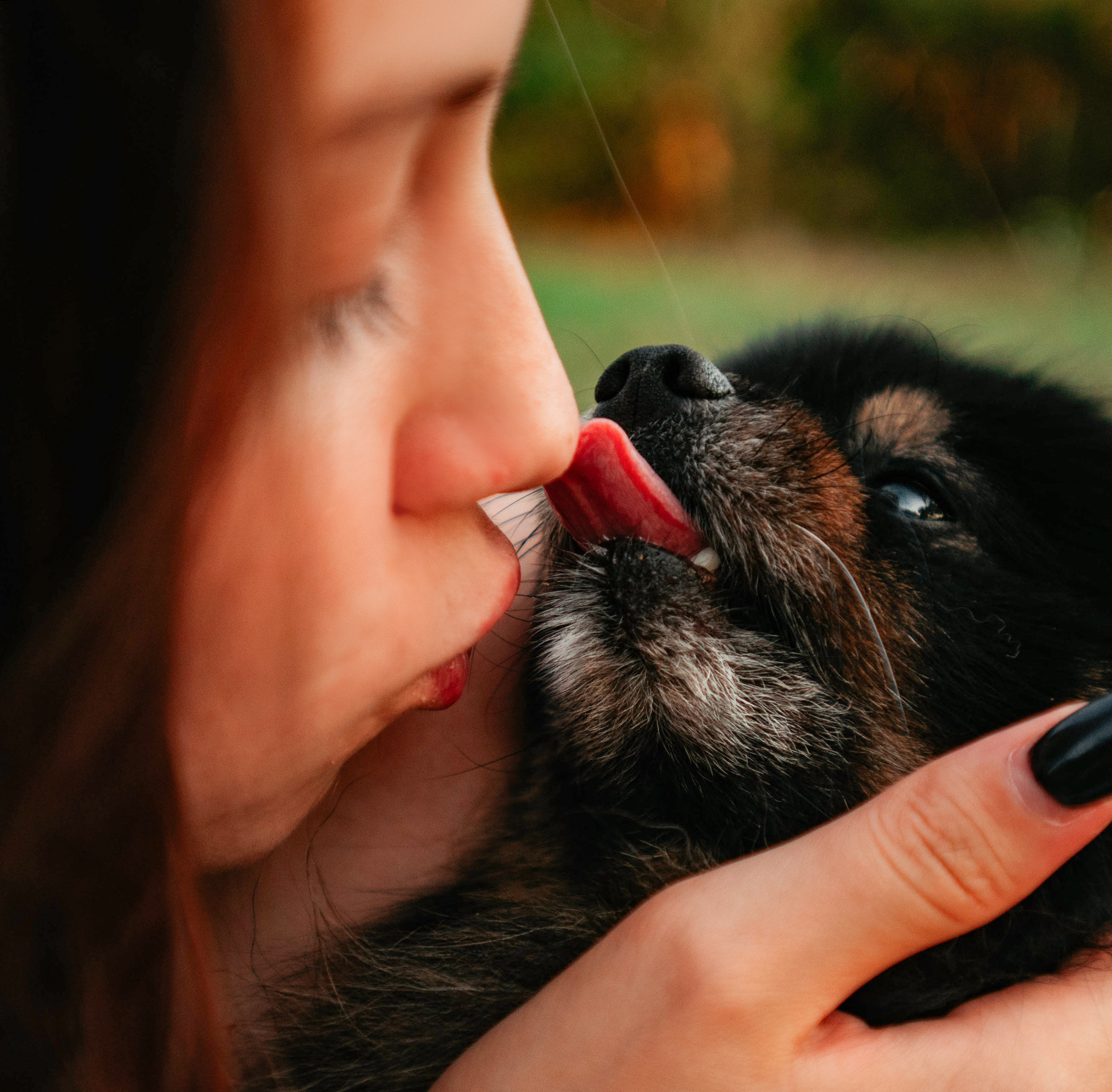 Вика и Рик на закате. Фотограф — анималист Саратов/Москва|Плужникова Юлия