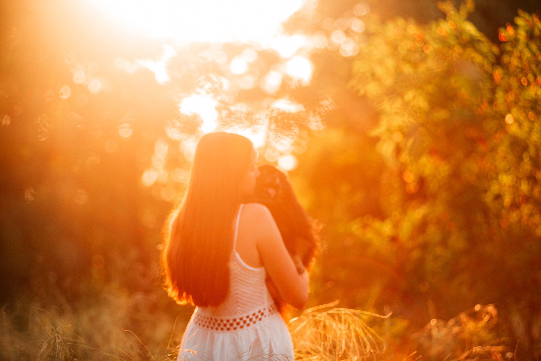 Вика и Рик на закате. Фотограф — анималист Саратов/Москва|Плужникова Юлия