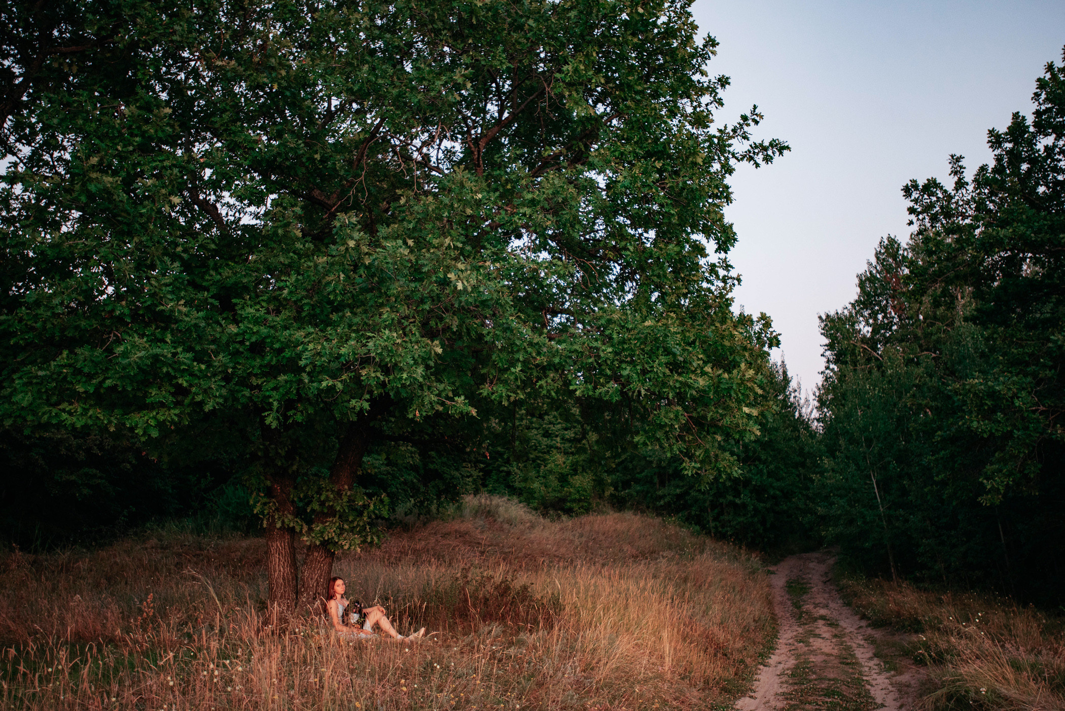 Вика и Рик на закате. Фотограф — анималист Саратов/Москва|Плужникова Юлия