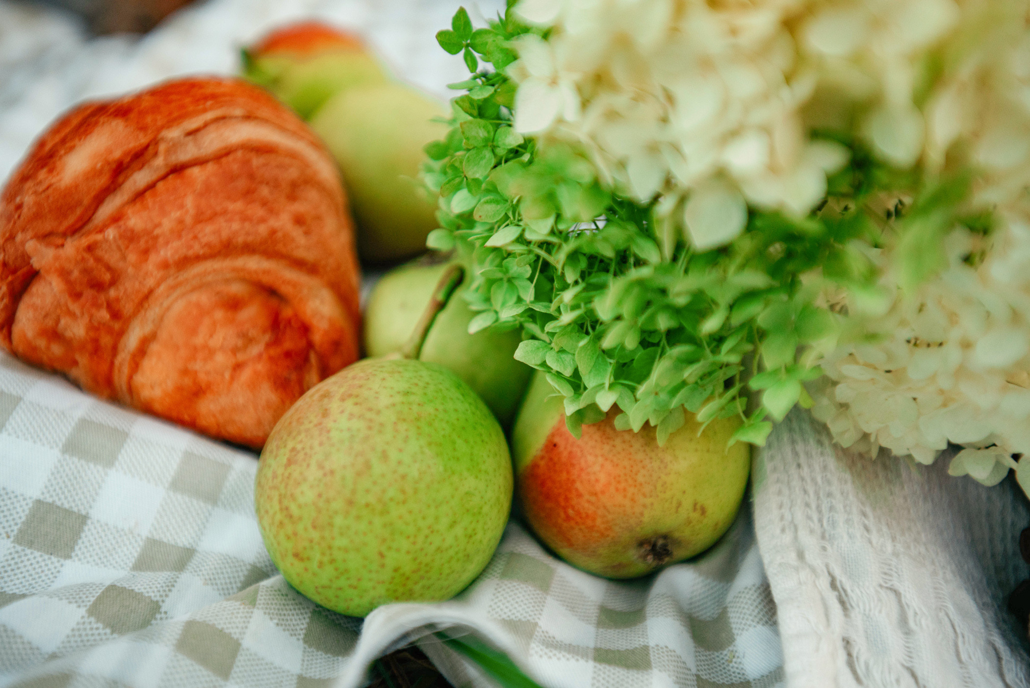 Вика и Рик на закате. Фотограф — анималист Саратов/Москва|Плужникова Юлия