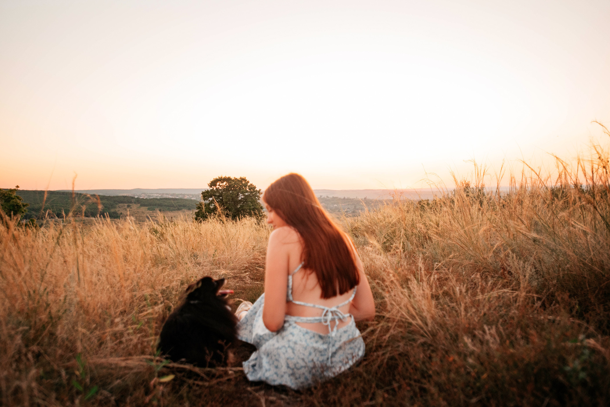 Вика и Рик на закате. Фотограф — анималист Саратов/Москва|Плужникова Юлия
