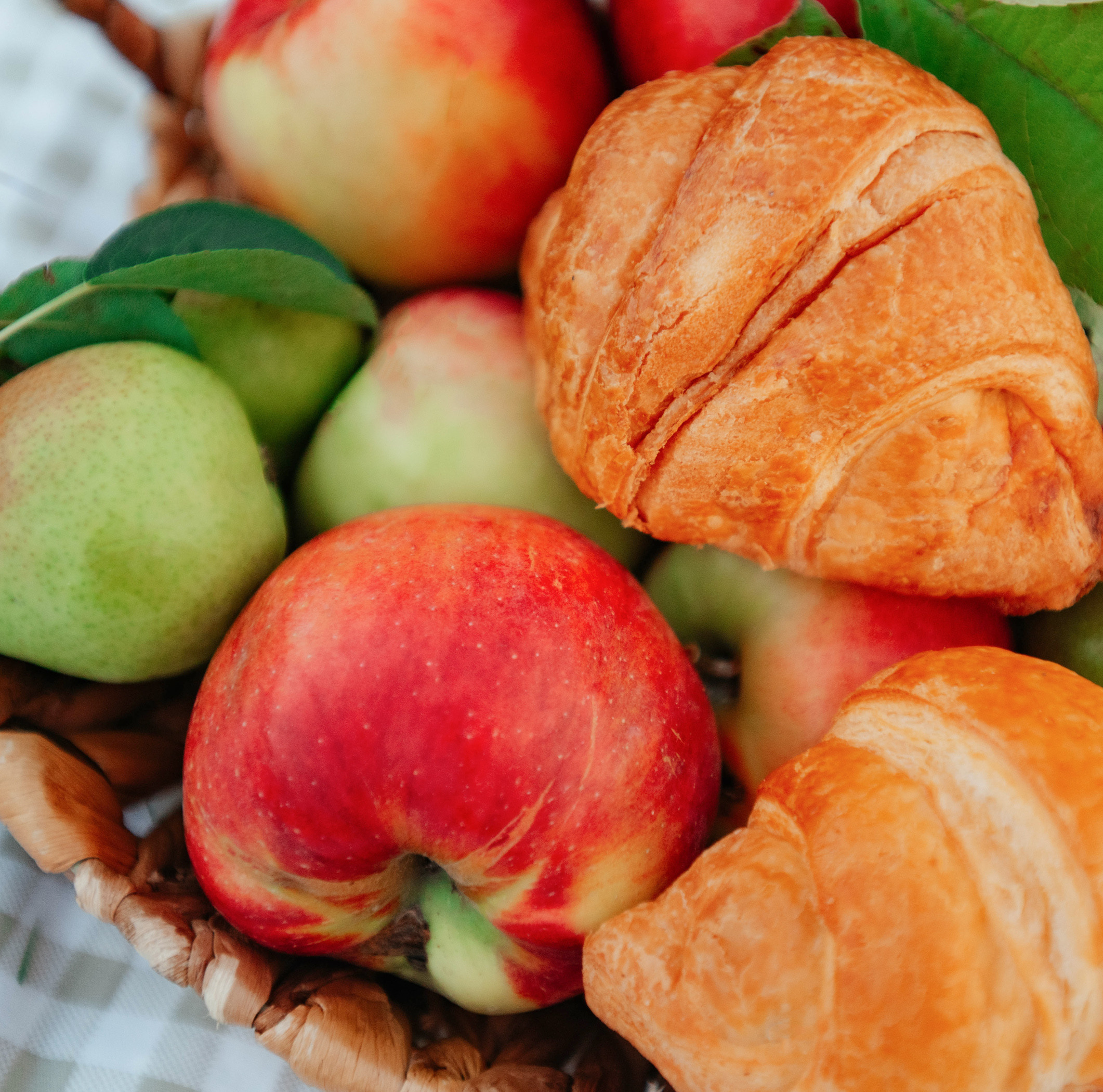 Вика и Рик на закате. Фотограф — анималист Саратов/Москва|Плужникова Юлия