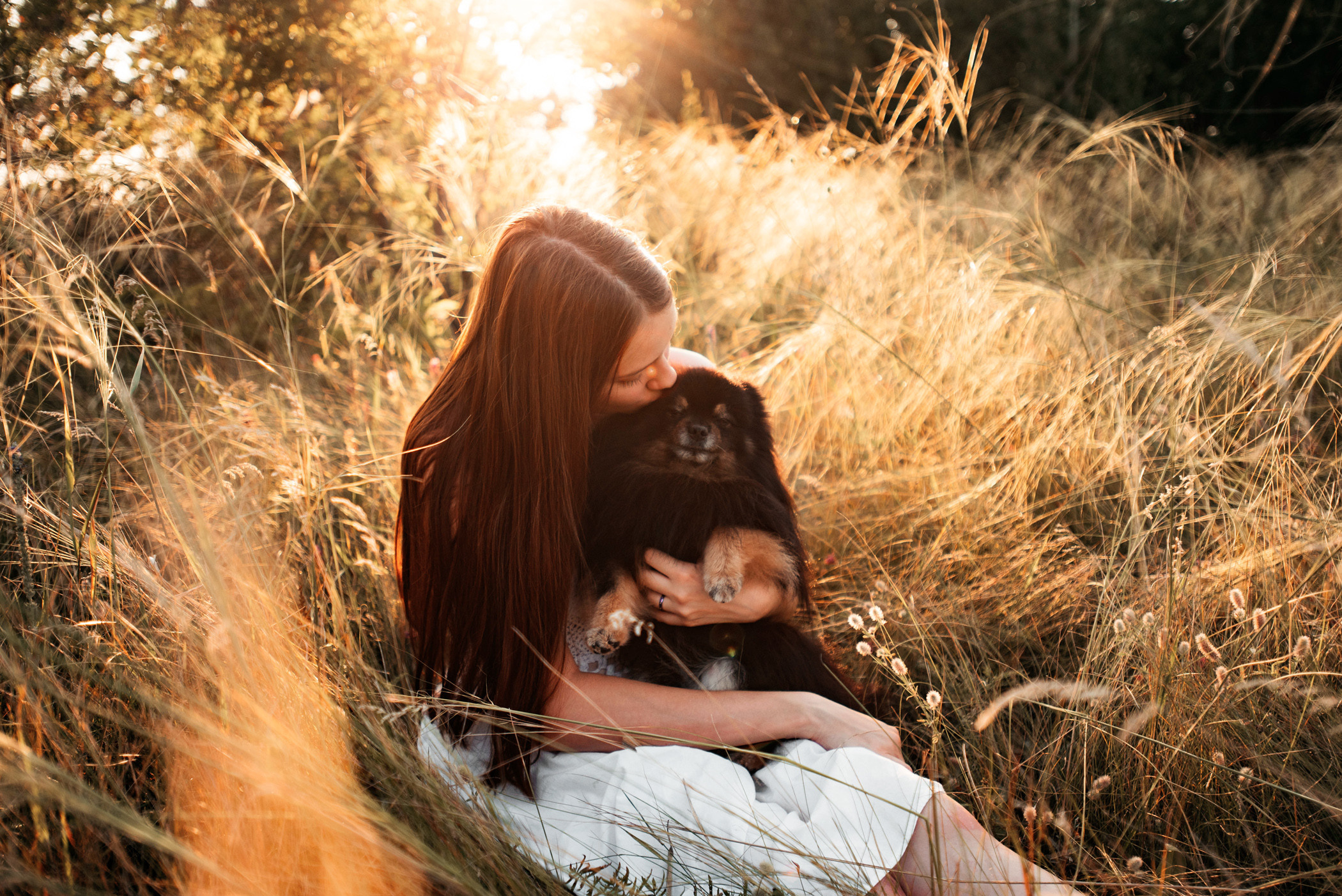 Вика и Рик на закате. Фотограф — анималист Саратов/Москва|Плужникова Юлия