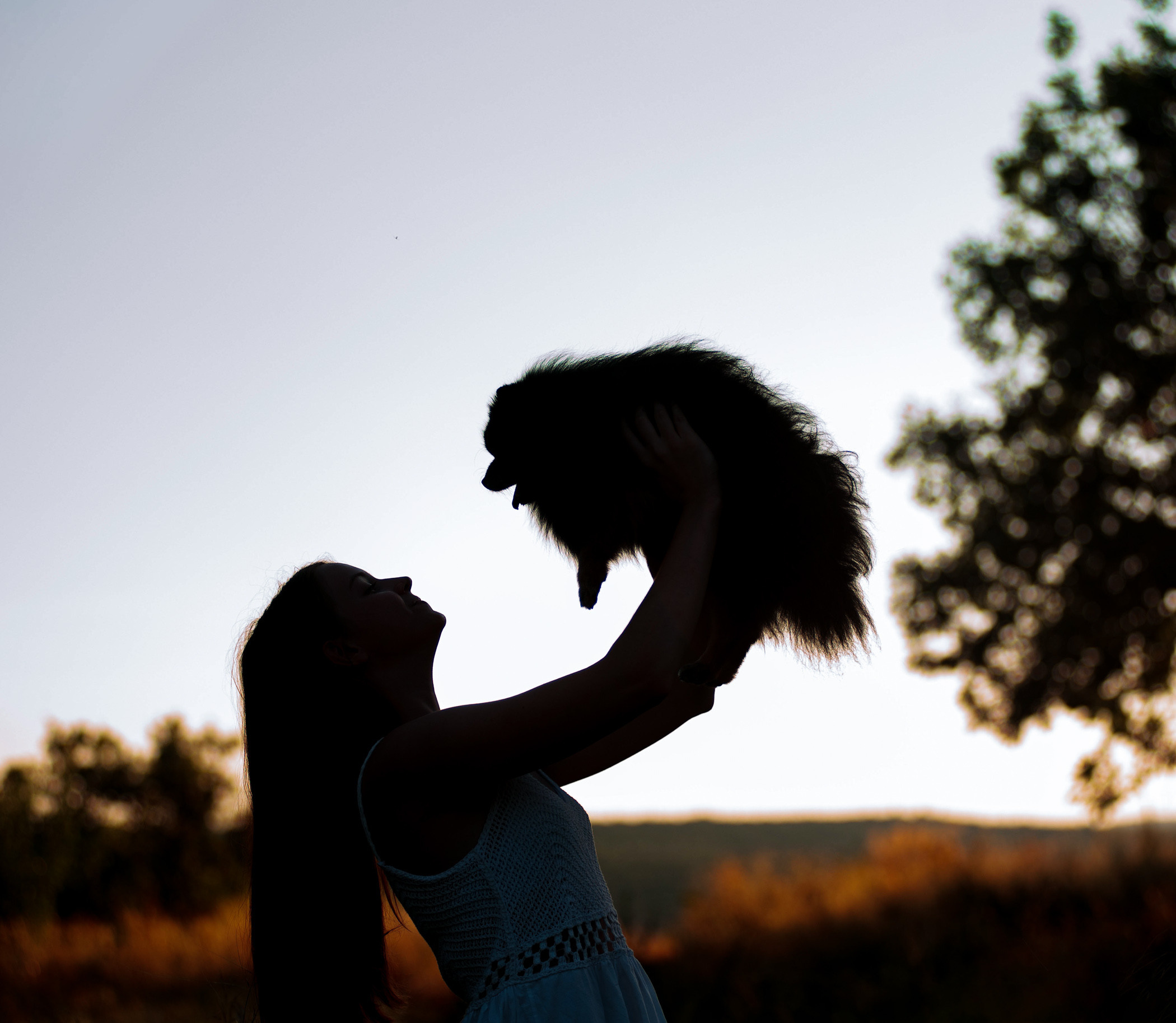 Вика и Рик на закате. Фотограф — анималист Саратов/Москва|Плужникова Юлия