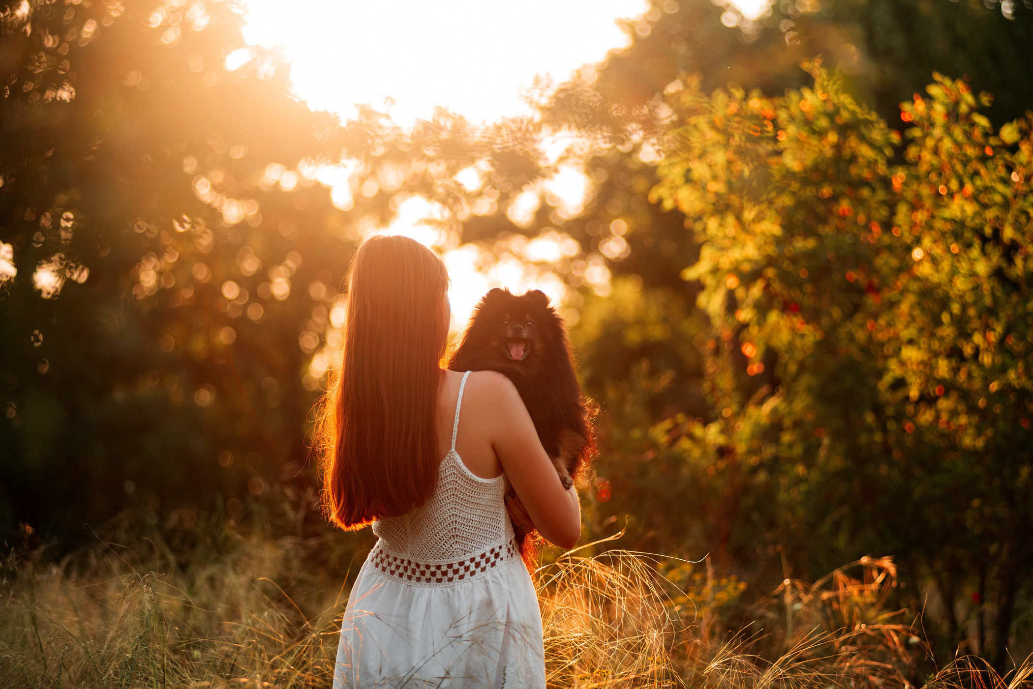 Вика и Рик на закате. Фотограф — анималист Саратов/Москва|Плужникова Юлия