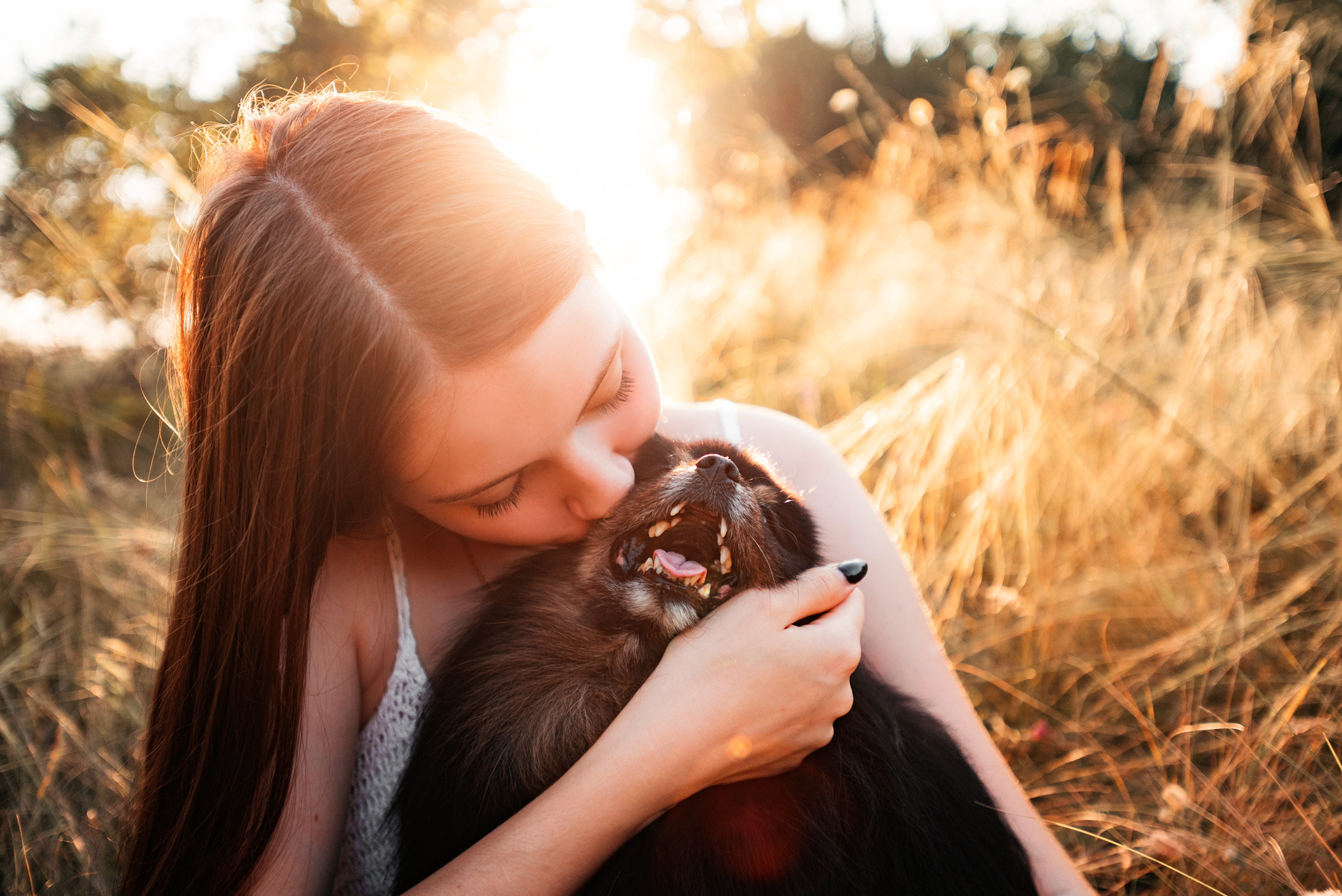 Вика и Рик на закате. Фотограф — анималист Саратов/Москва|Плужникова Юлия