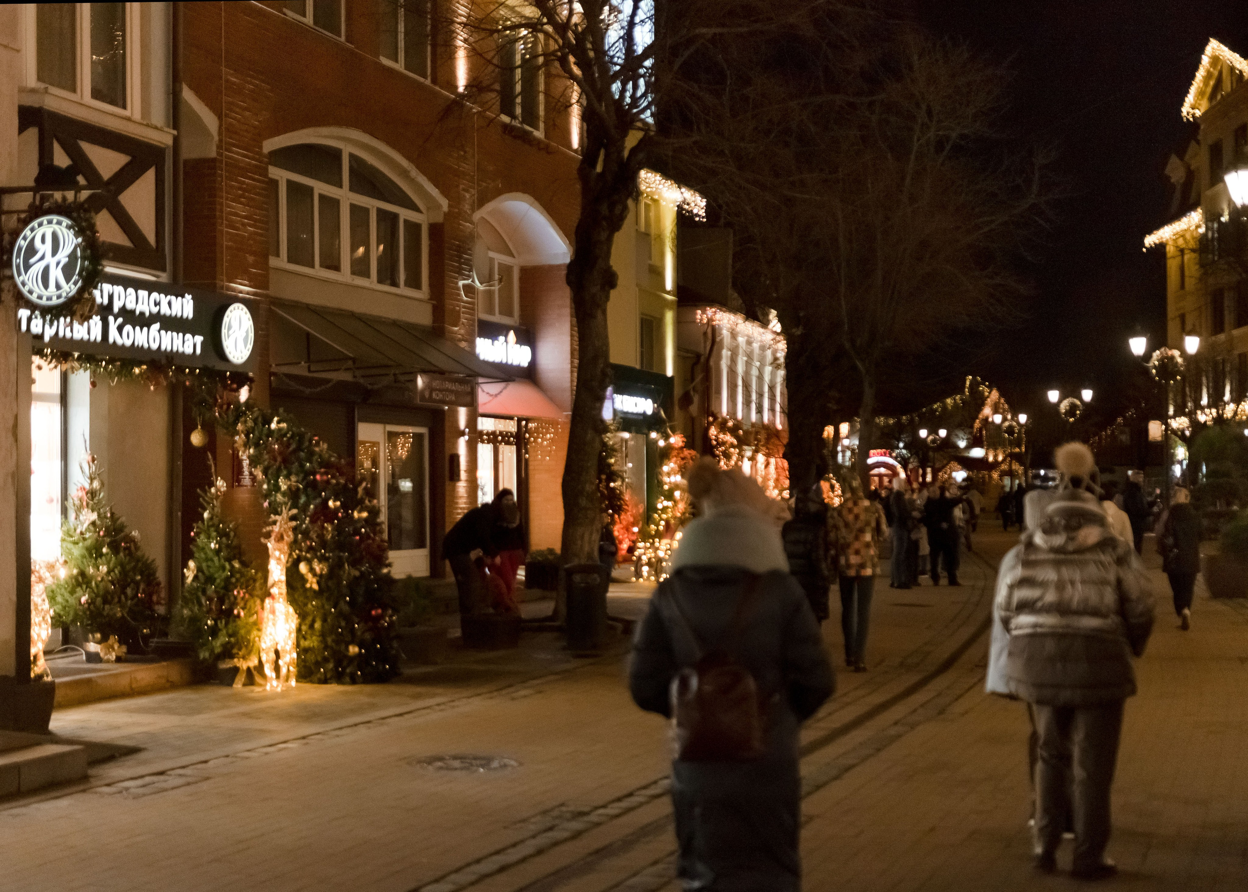 Фотопрогулка по новогоднему Зеленоградску. Фотограф Зеленоградск Лиана Сопина