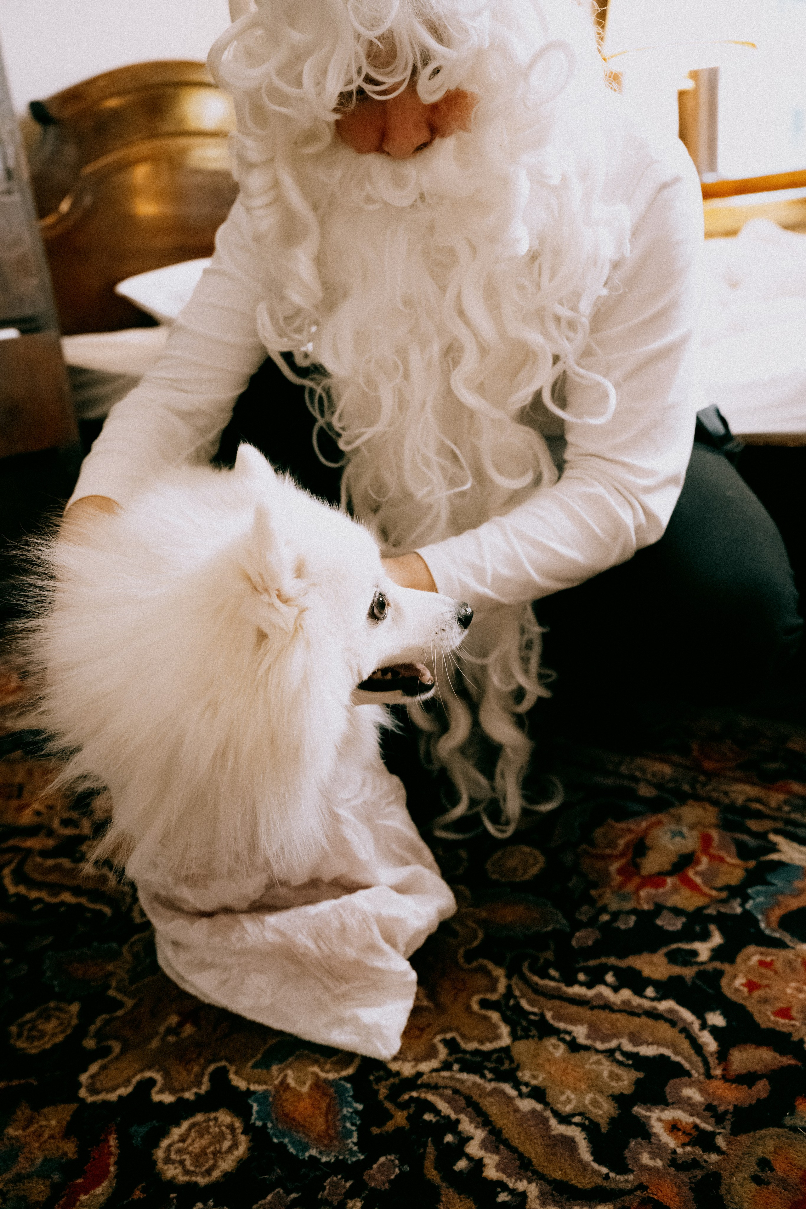 Новогодняя сказка: «Он настоящий!». Кошенкова Мария: портретный и репортажный фотограф. Санкт-Петербург