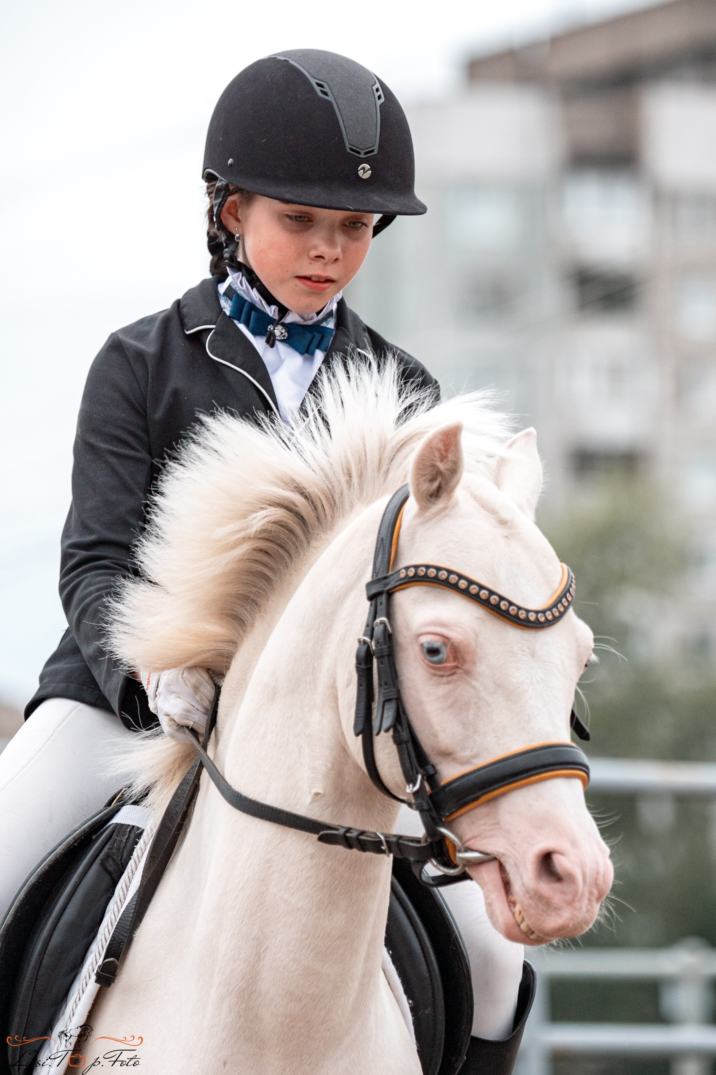 Областные соревнования по выездке. Тверь. Конный и фотограф с животными в Твери Топталова Люся