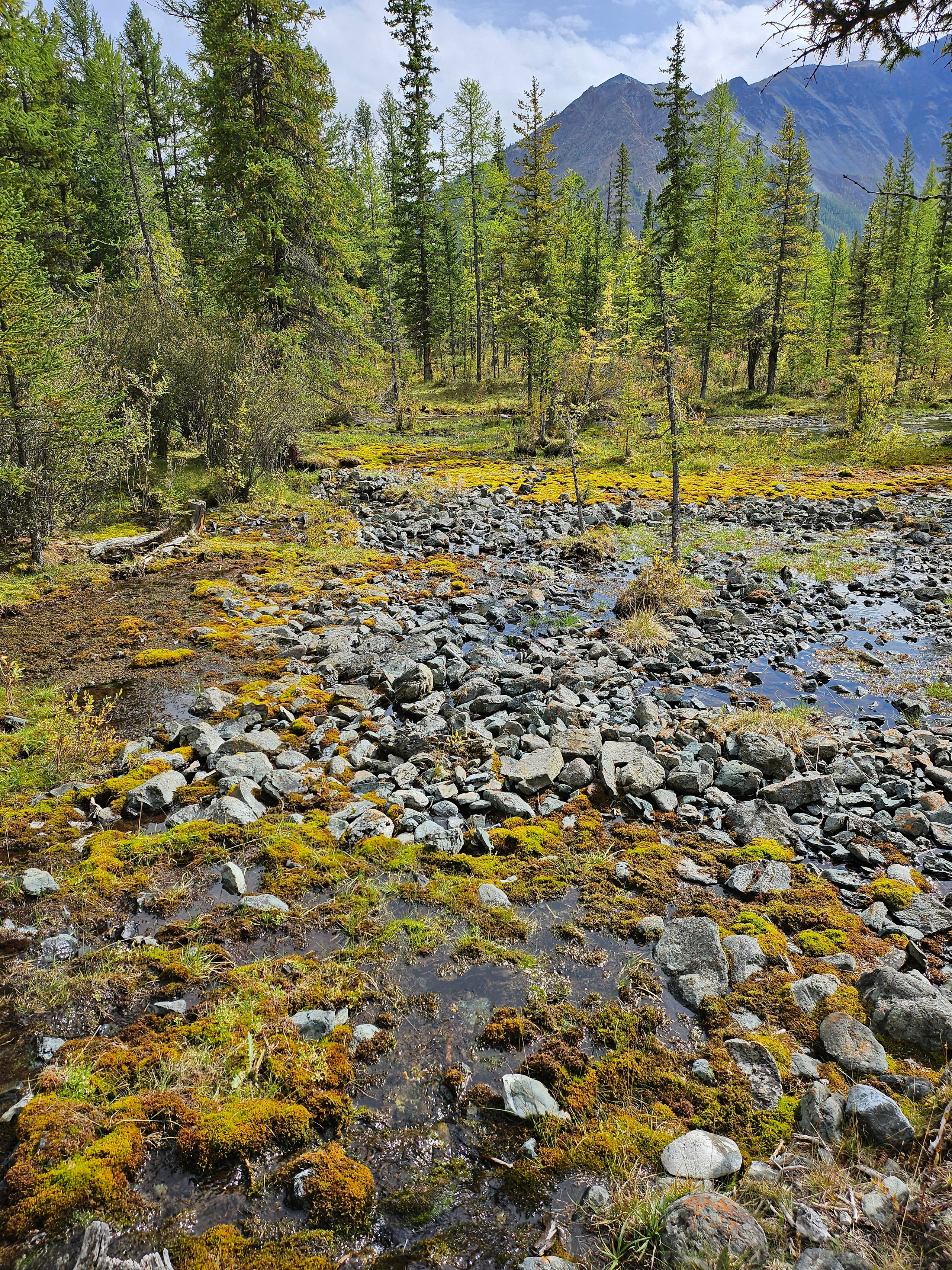 Путешествие по южному Алтаю. Семоха Валерий. Фотограф