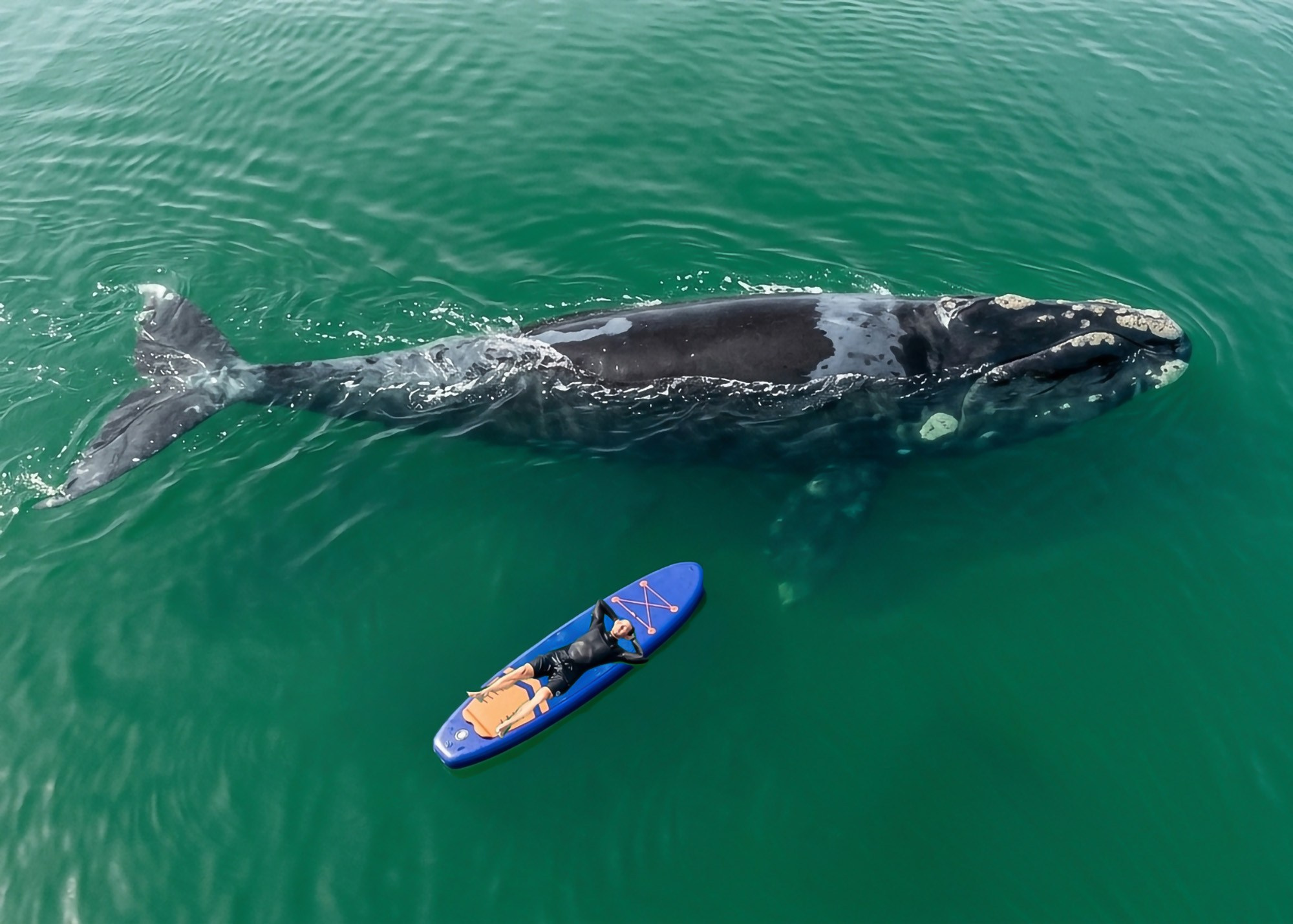 Фотоэкспедиция по Шантарам, к острову Ионы и полуострову Кони