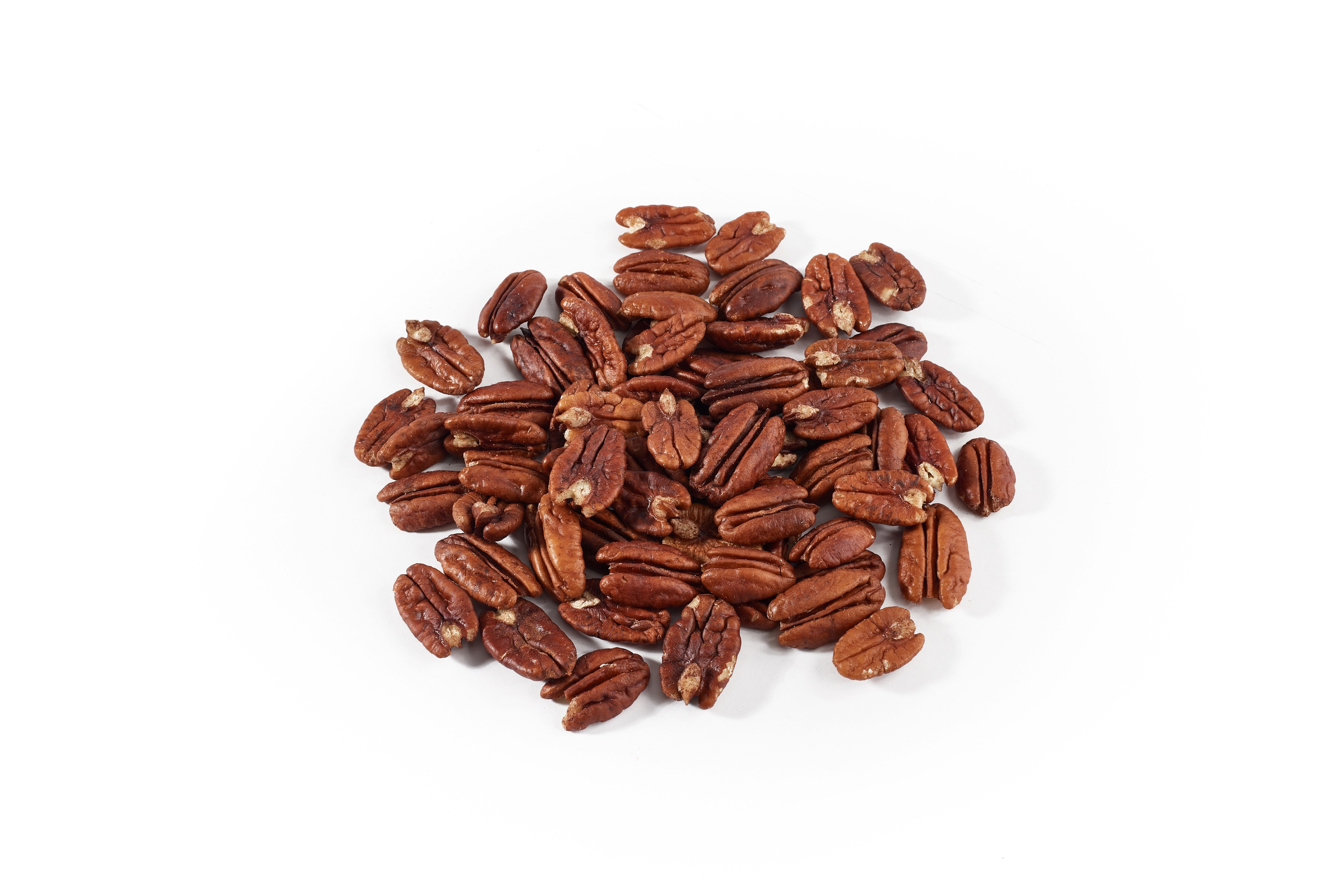 Nut4Life. Фотограф Сергей Бойко Москва