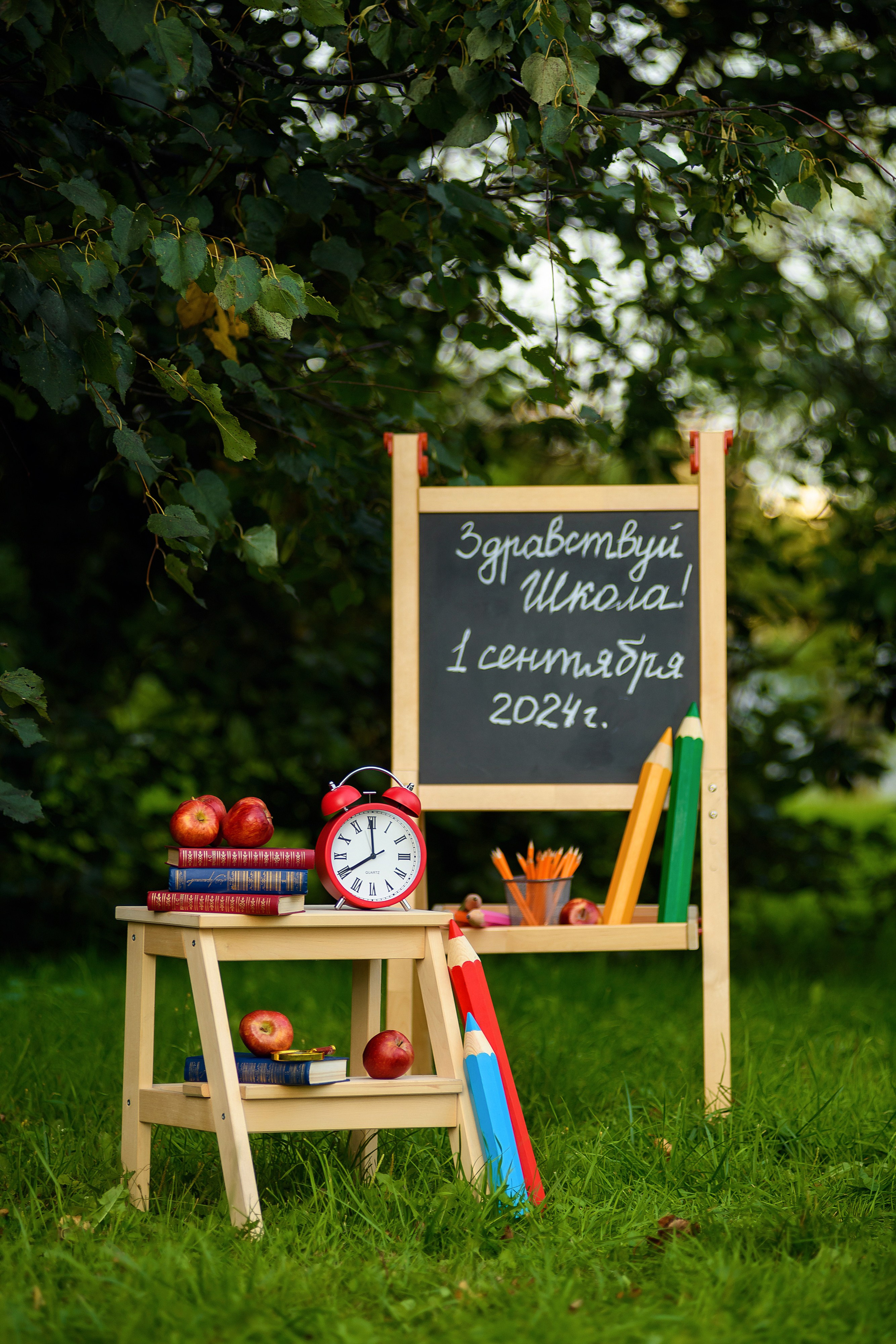 Фотопроект "Здравствуй школа". Первенцева Елена. Школьный фотограф в Москве и МО